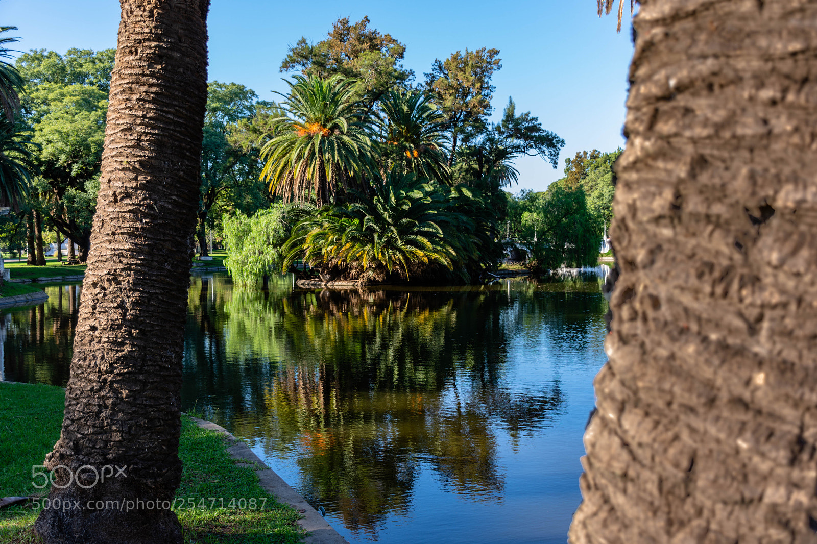 Nikon D7200 sample photo. Parque garay santa fe photography