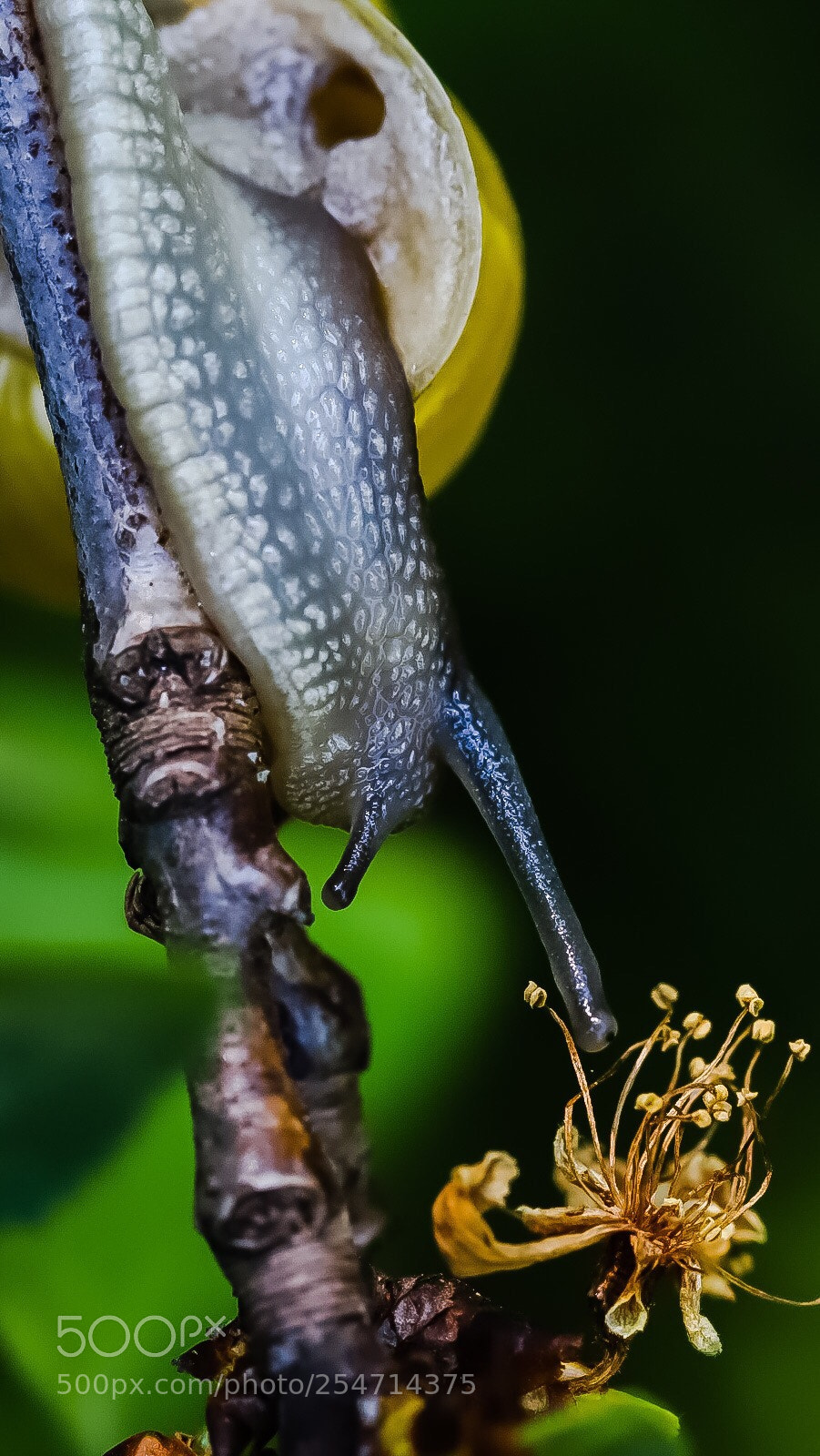 Canon EOS 6D Mark II sample photo. Untitled photography