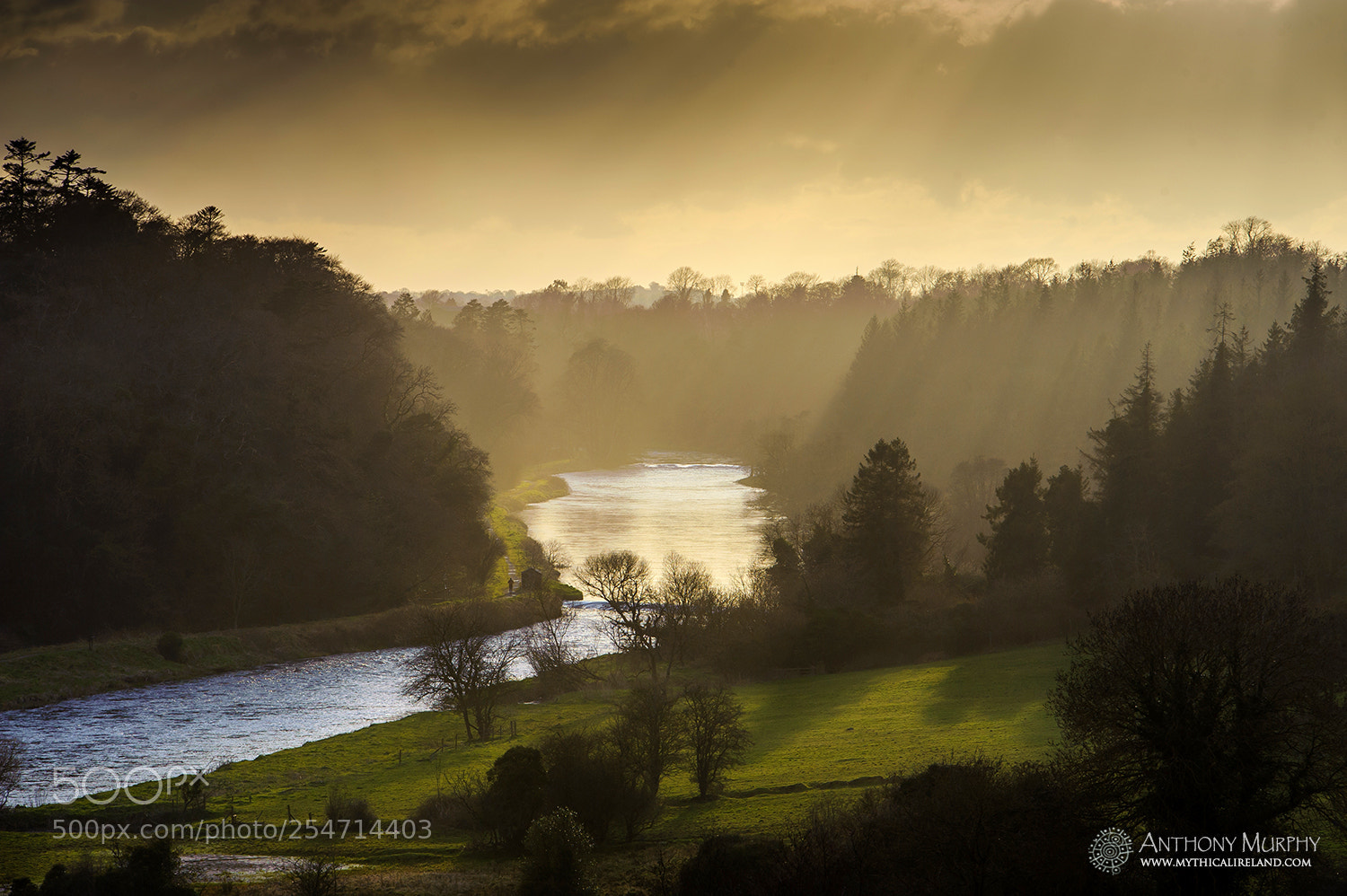 Nikon D3 sample photo. The boyne valley photography
