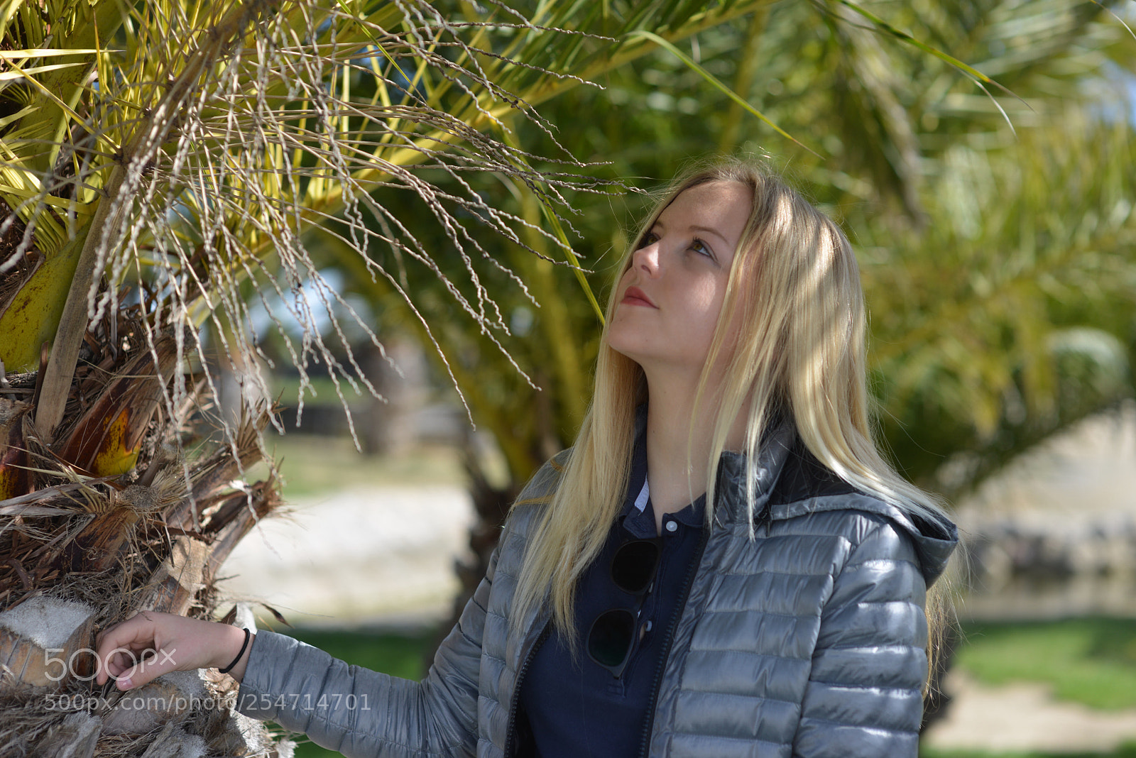 Nikon D800 sample photo. Shooting photography