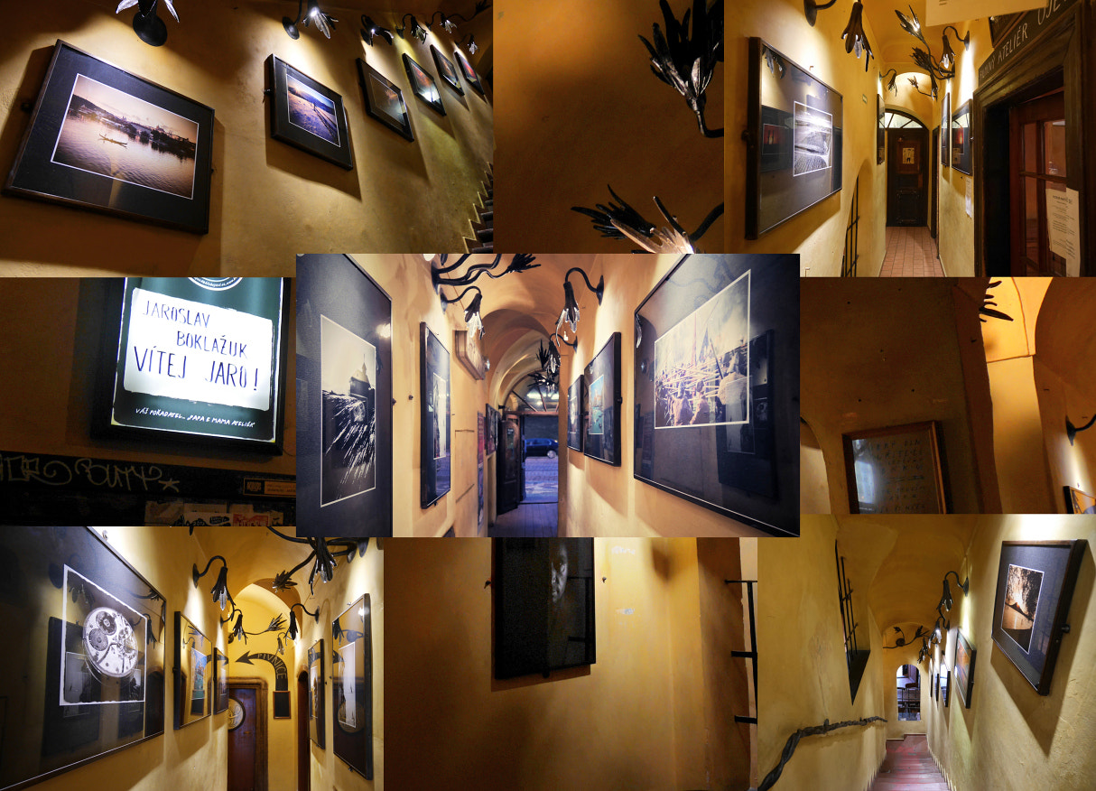 Panasonic Lumix DMC-GM5 sample photo. Photo exhibition "welcome spring" photography
