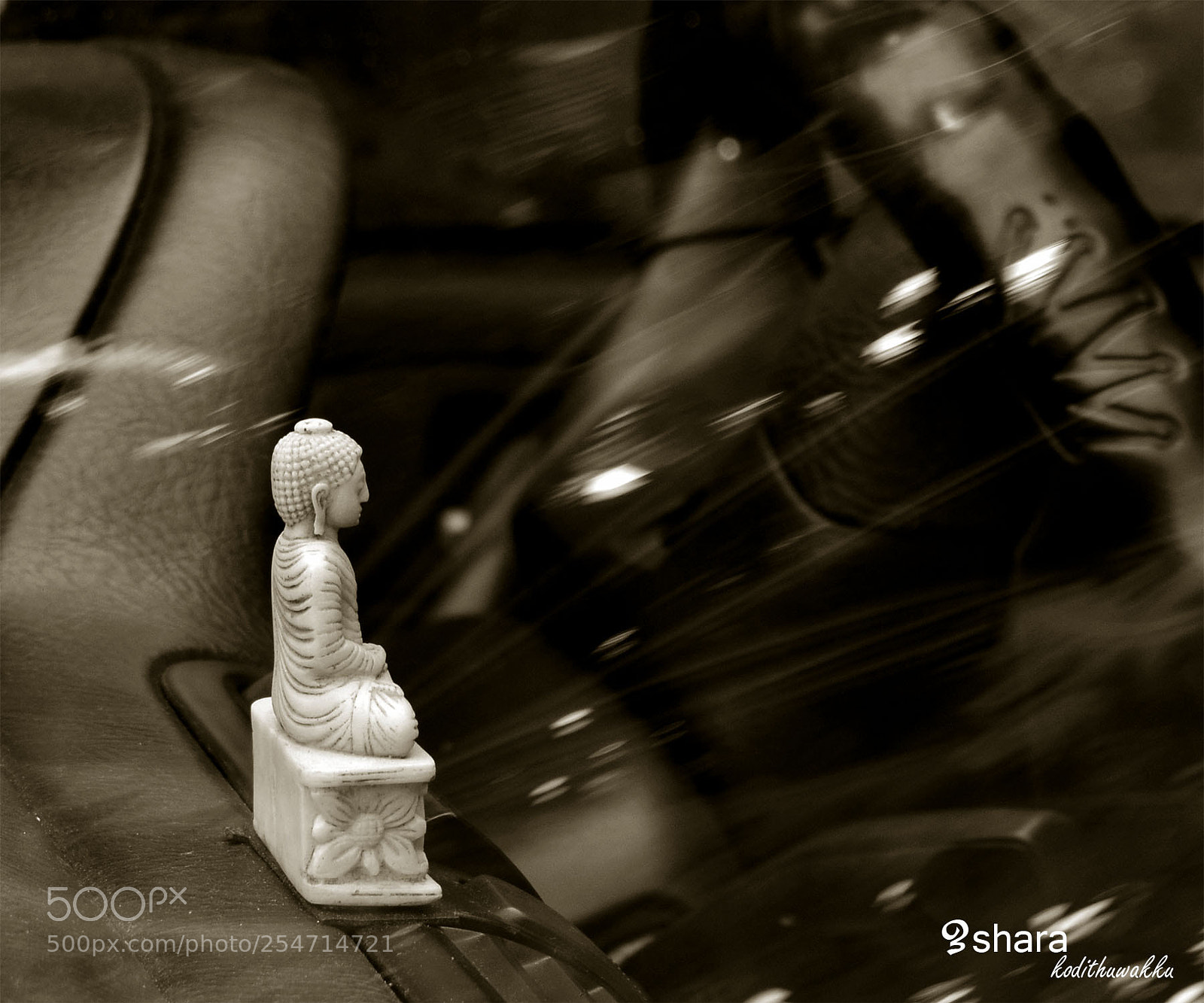 Nikon D3300 sample photo. Untitled photography