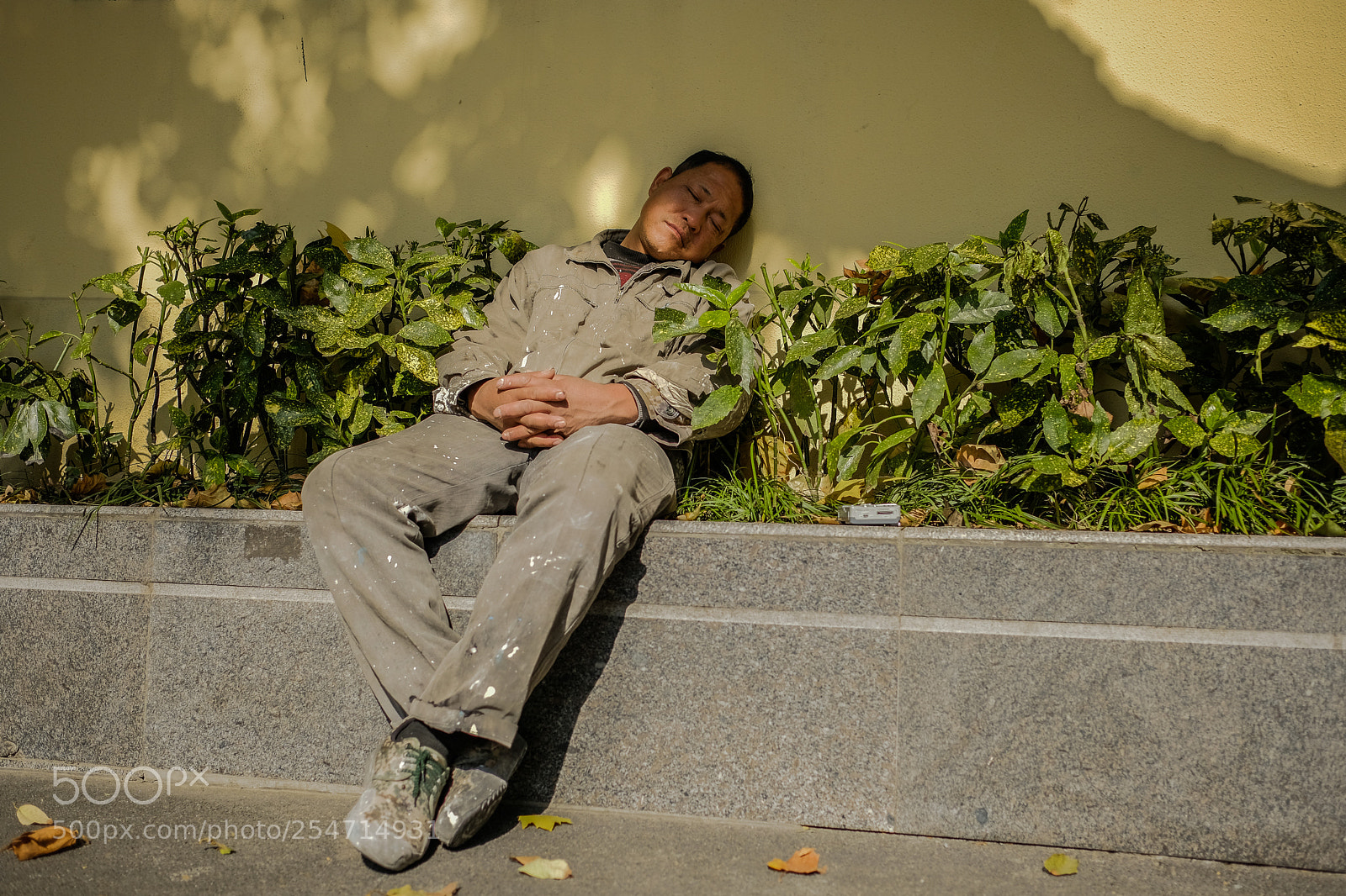 Fujifilm X-Pro2 sample photo. Nap photography