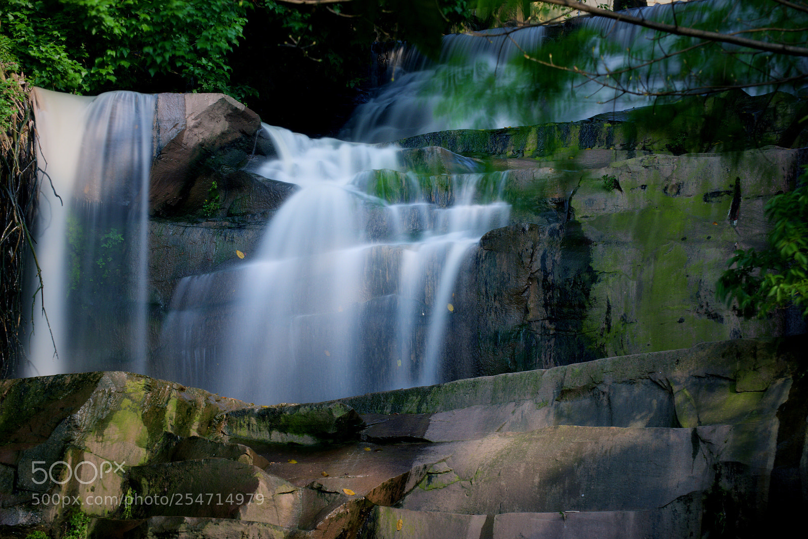 Nikon D810 sample photo. 春天的印象 photography