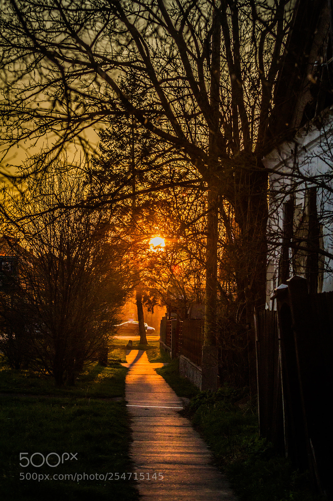 Canon EOS 7D sample photo. The sun going to photography
