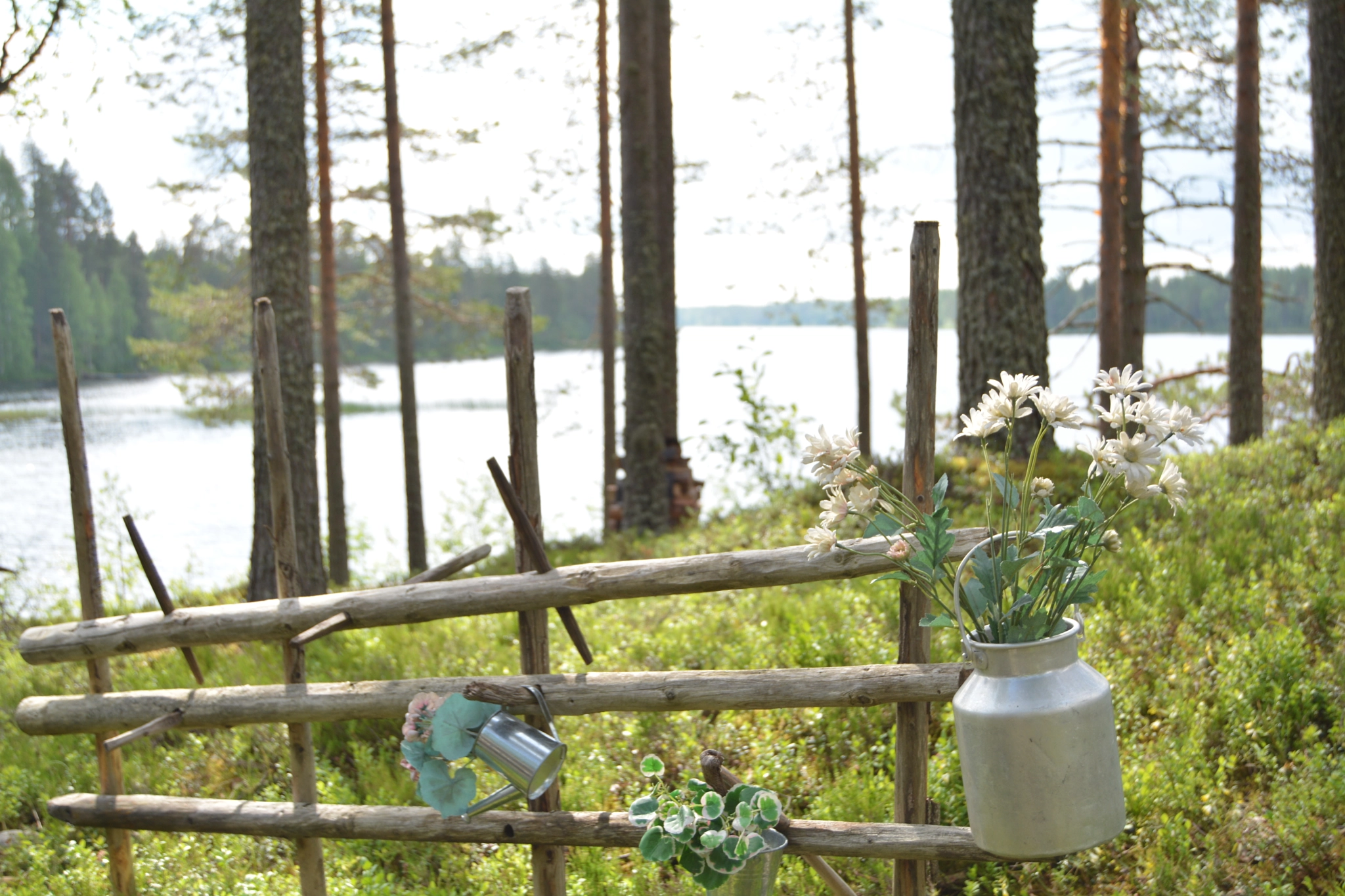 Nikon D5200 sample photo