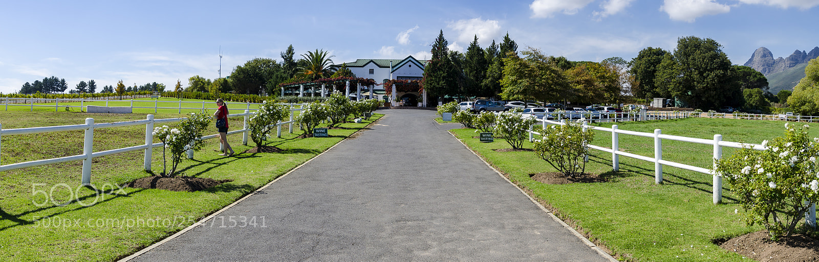 Nikon D7000 sample photo. Wine farm photography