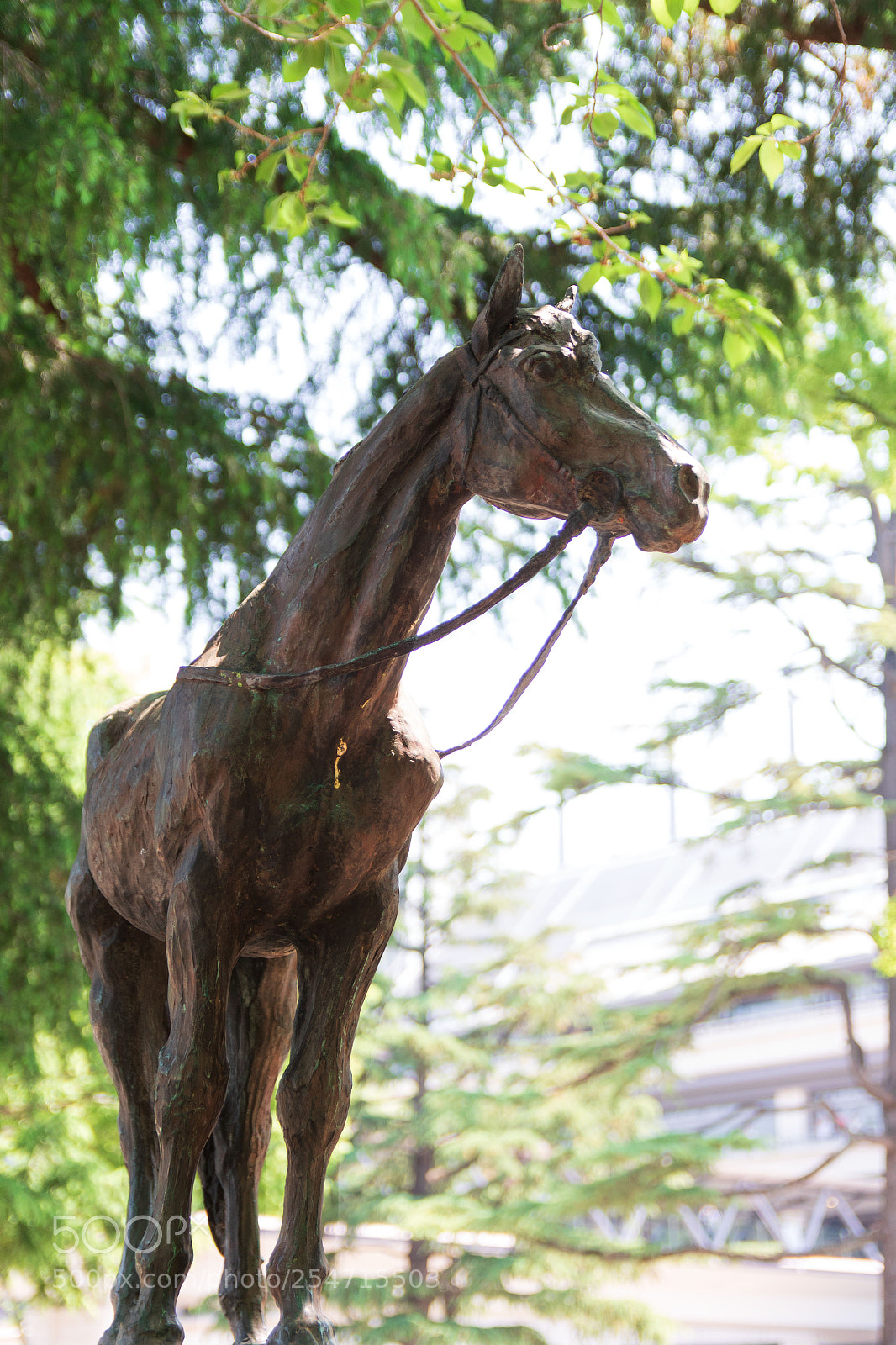 Canon EOS 7D Mark II sample photo. Bronse statue photography