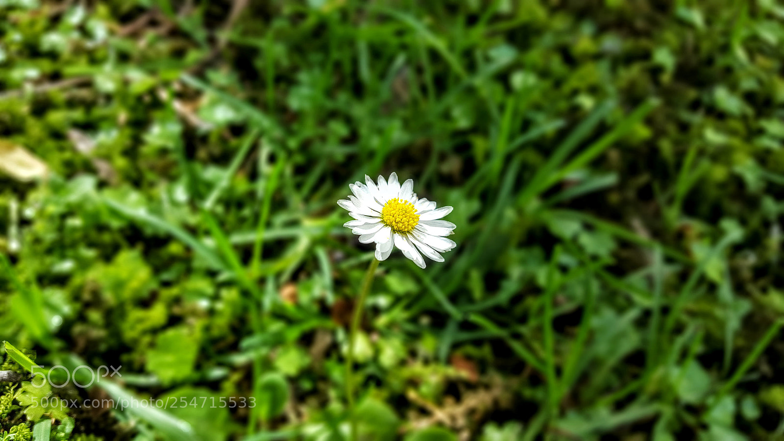 Samsung Galaxy S6 sample photo. Untitled photography