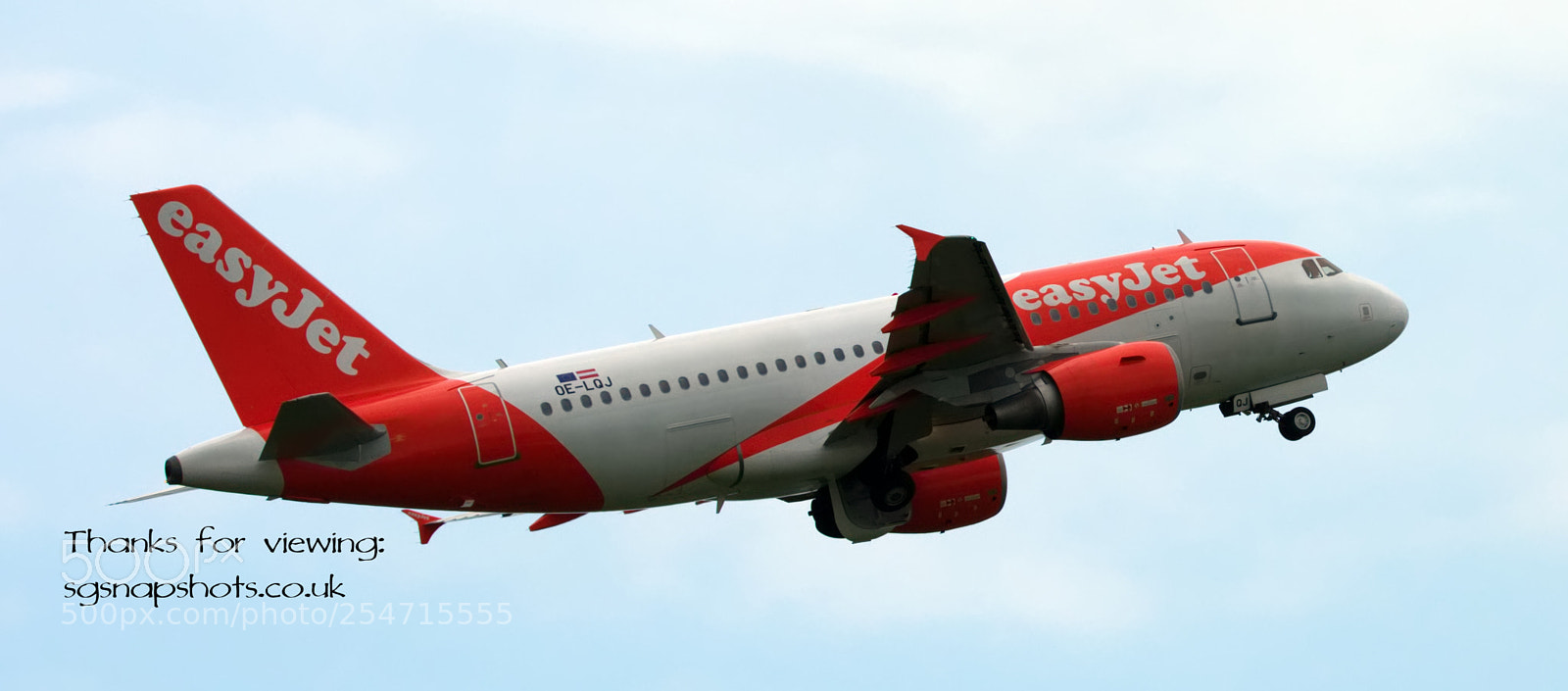 Nikon D3400 sample photo. Flying high photography