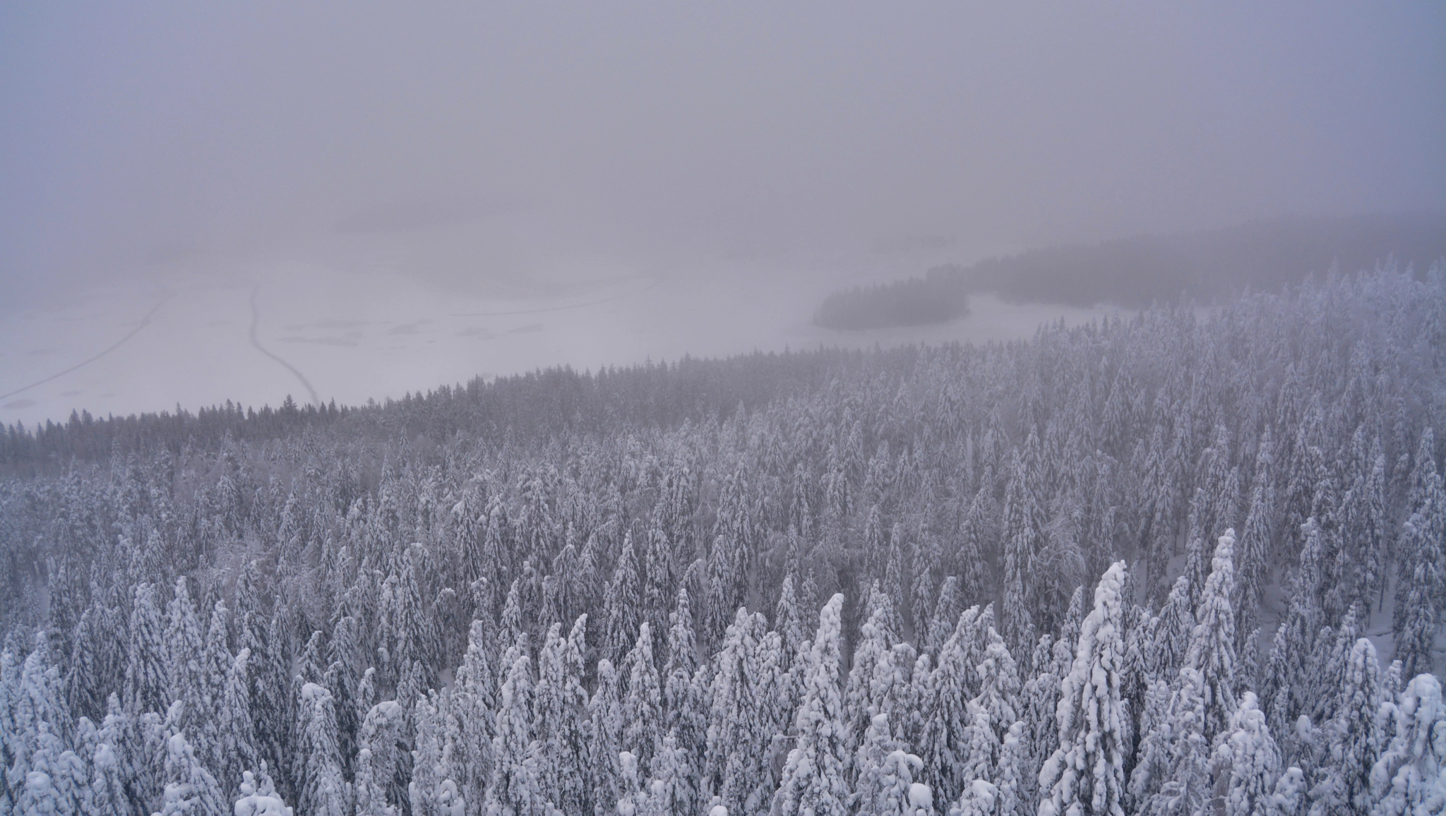 Nikon D5200 sample photo. Koli photography