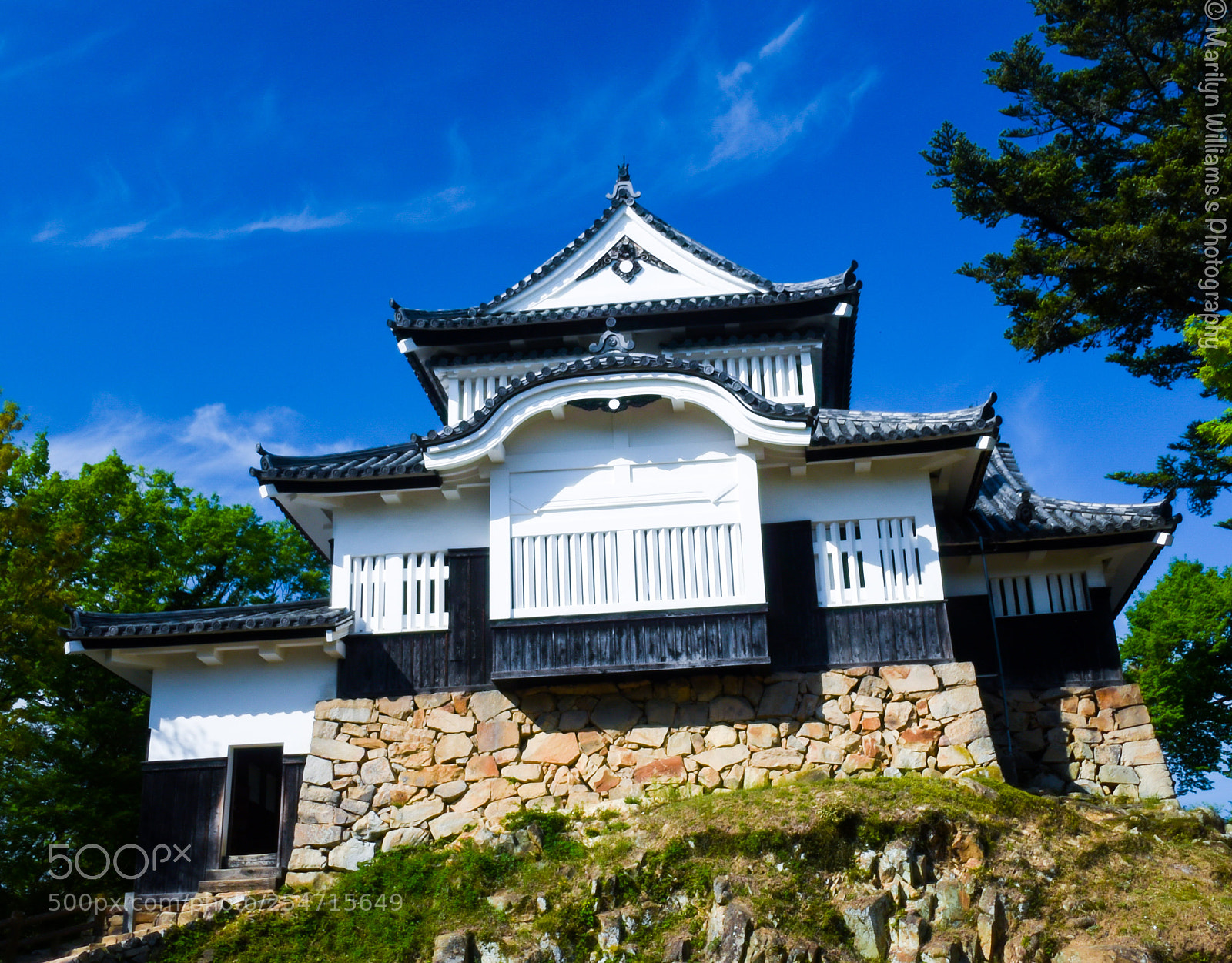 Nikon D750 sample photo. Bitchu matsuyama castle photography