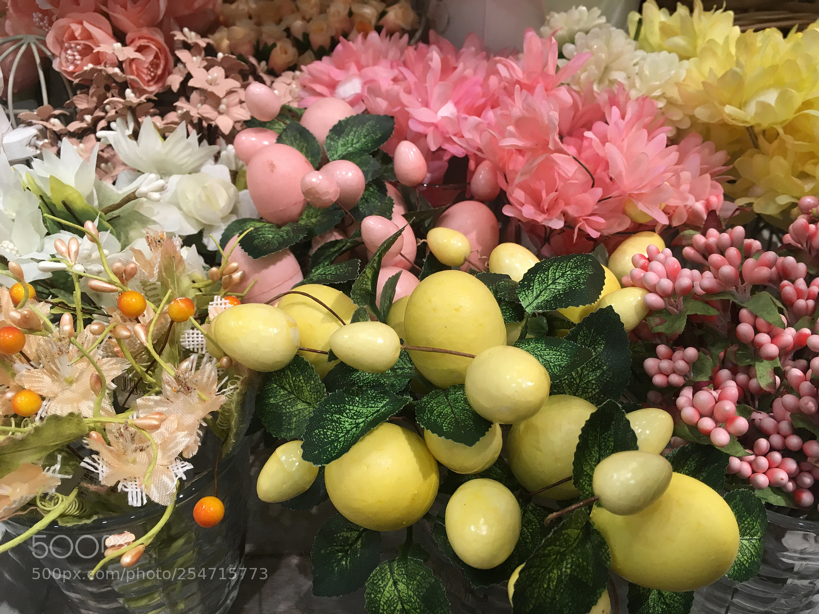 Apple iPhone SE sample photo. Spring photography
