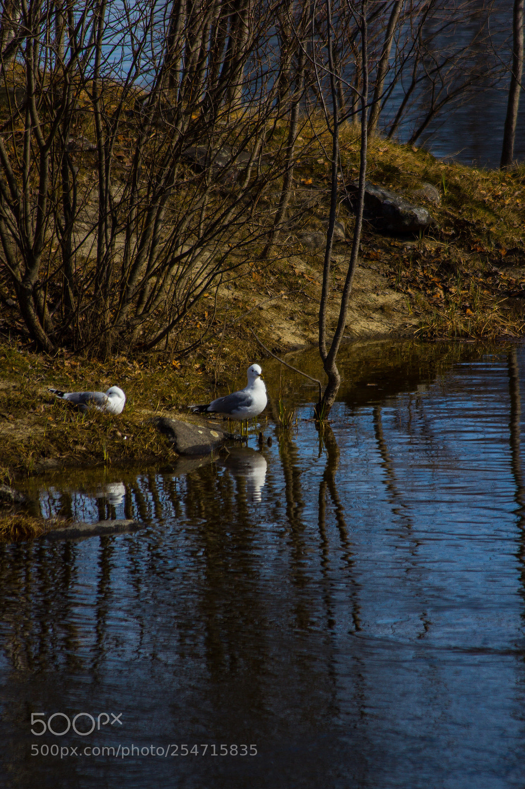 Canon EOS 60D sample photo. Mr and mrs  photography