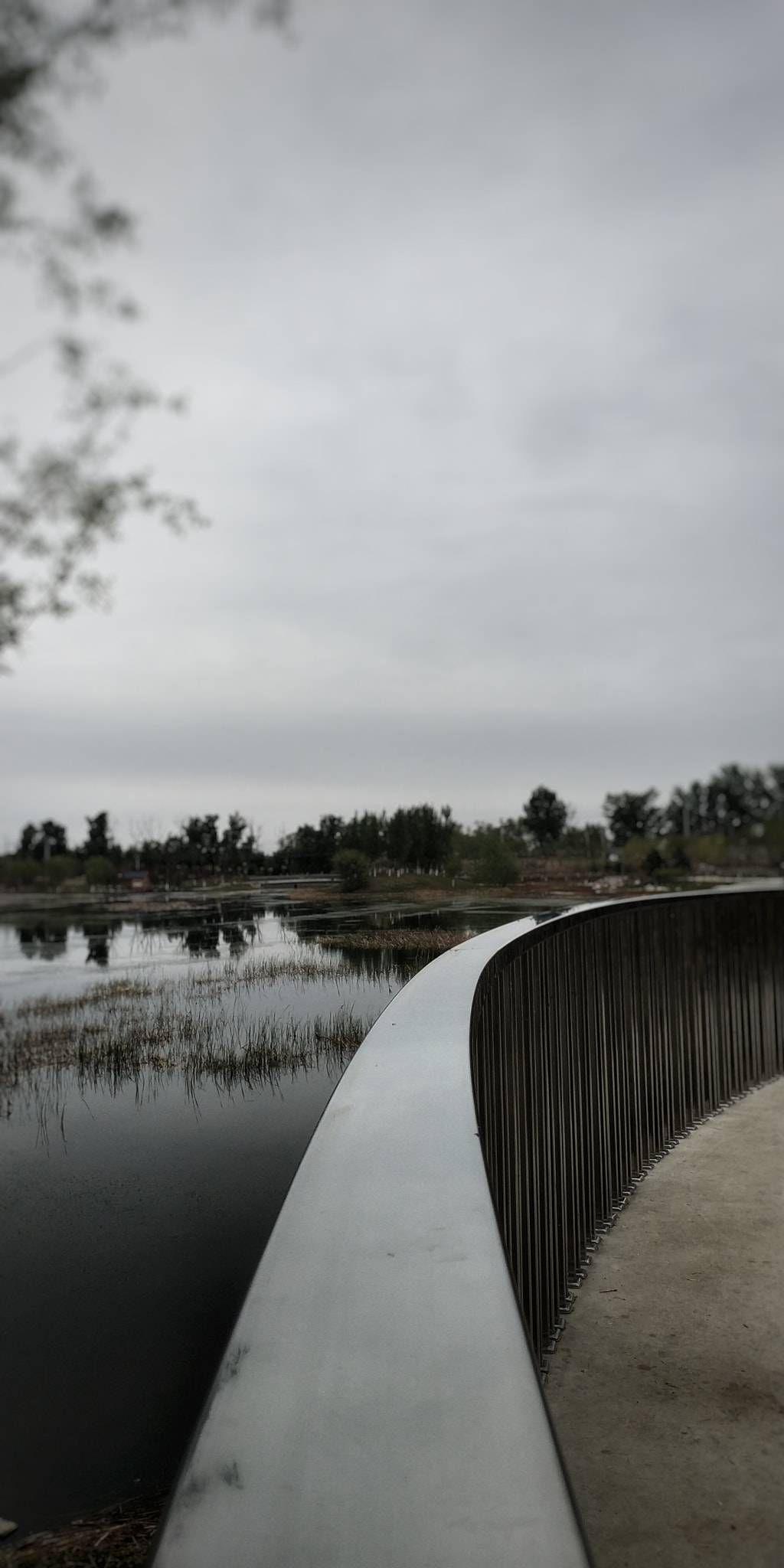 Xiaomi MIX 2 sample photo. 23 photography