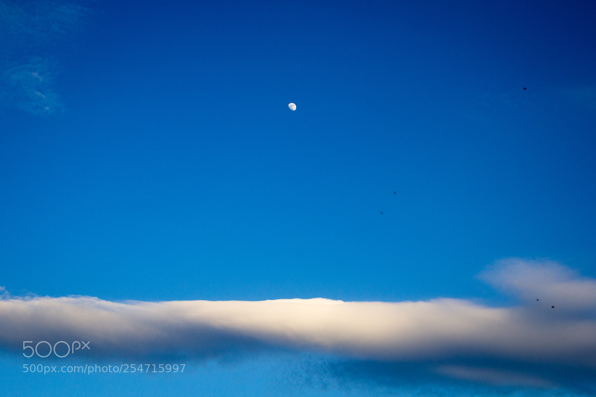 Canon EOS 600D (Rebel EOS T3i / EOS Kiss X5) sample photo. Moon photography