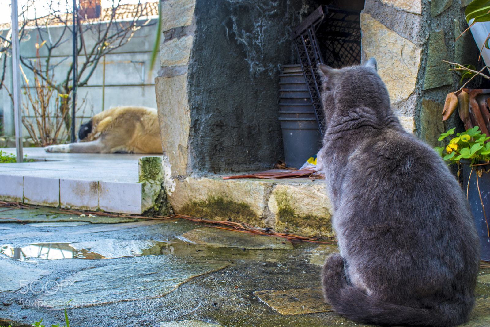 Canon EOS 77D (EOS 9000D / EOS 770D) sample photo. Untitled photography