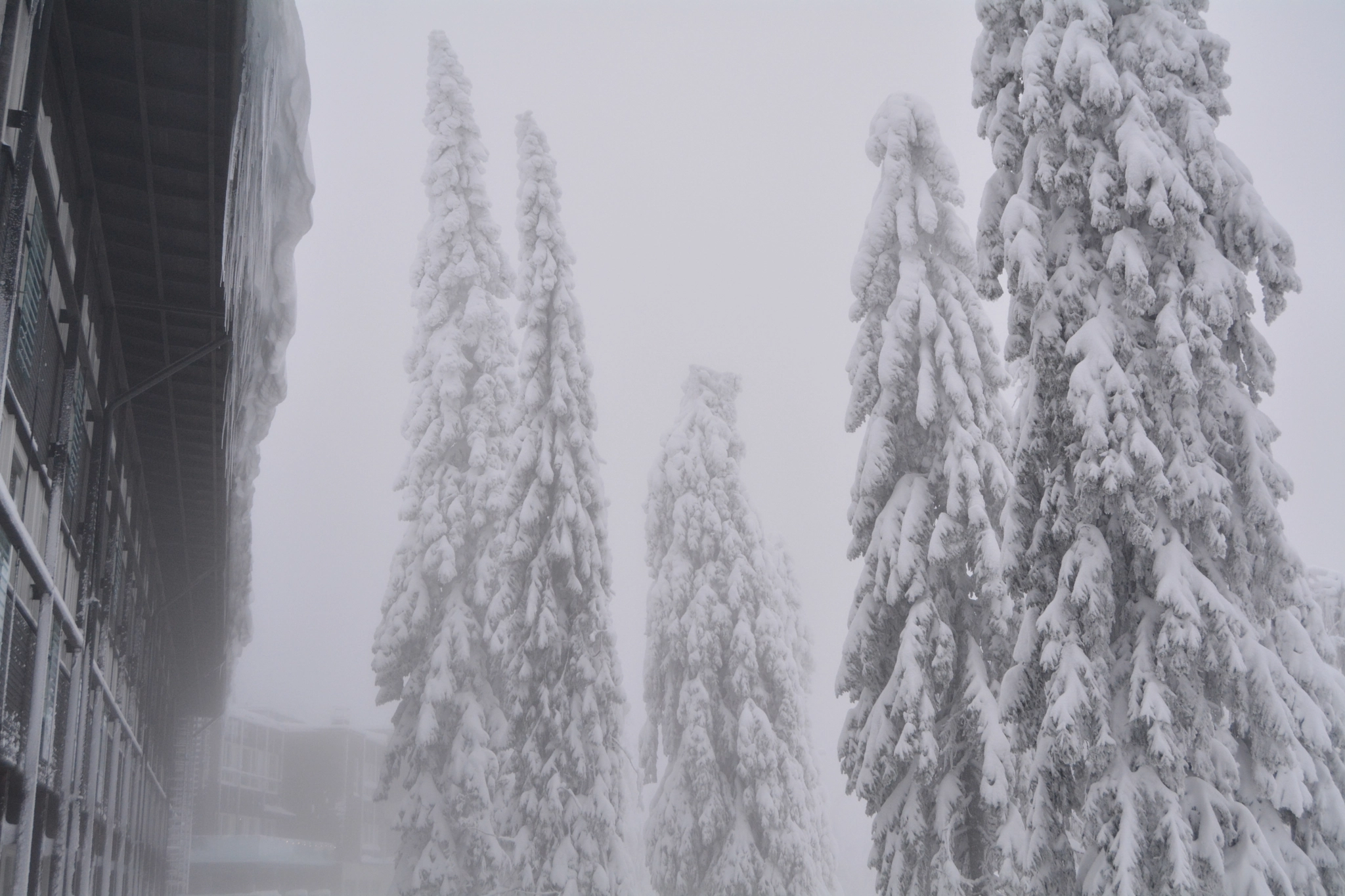Nikon D5200 sample photo. Twin koli peaks hotel photography