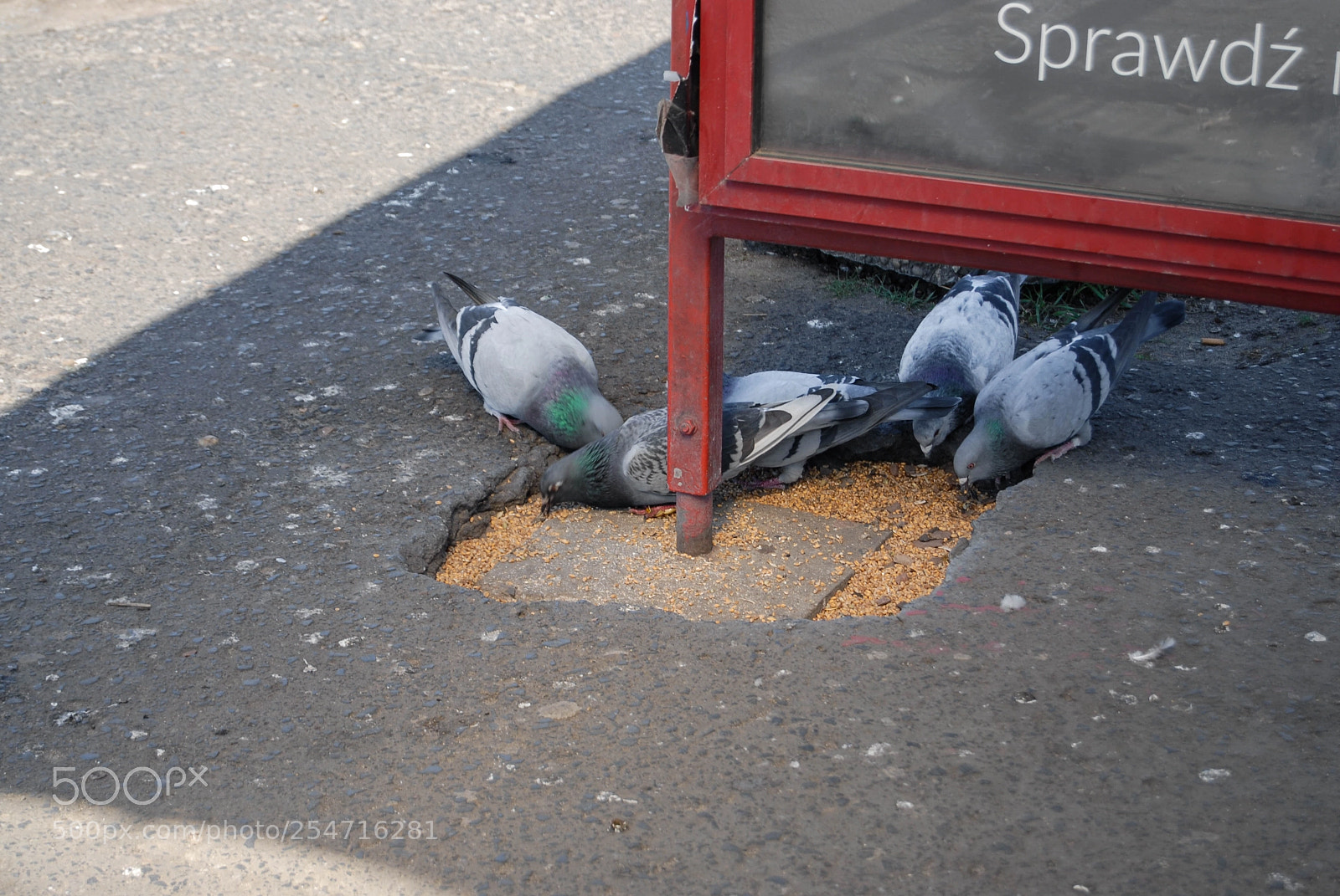 Nikon D200 sample photo. Untitled photography