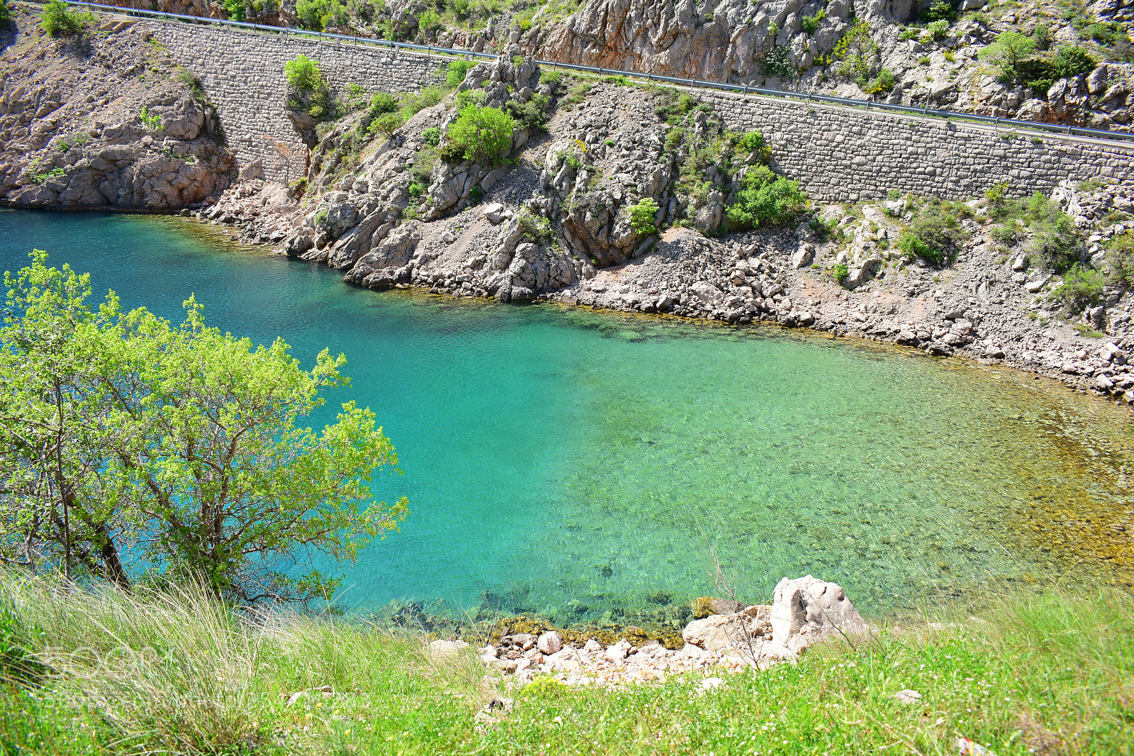 Nikon D3300 sample photo. Vidovac cesarički photography