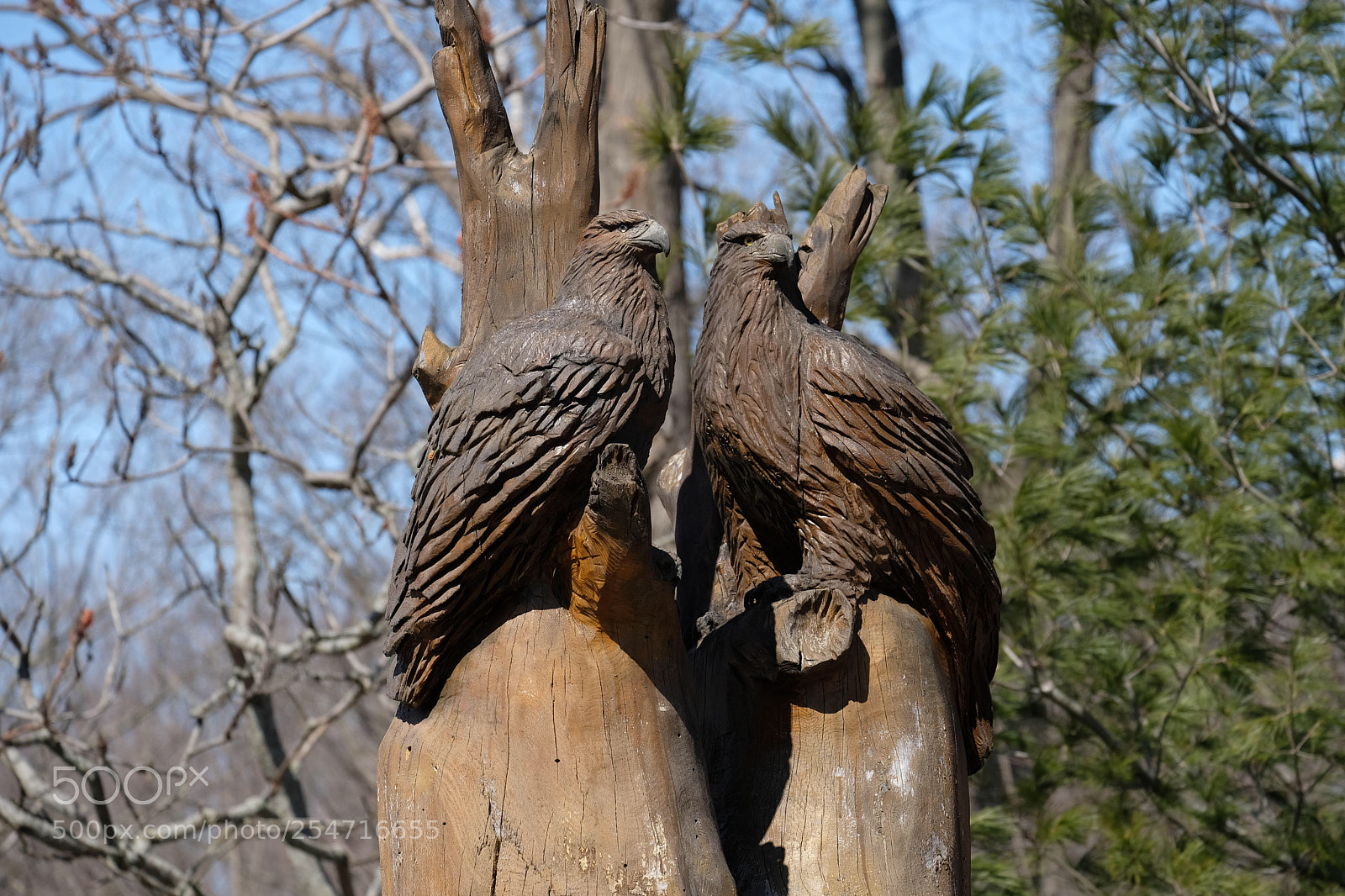Fujifilm X-T2 sample photo. Wooden sculpture  photography