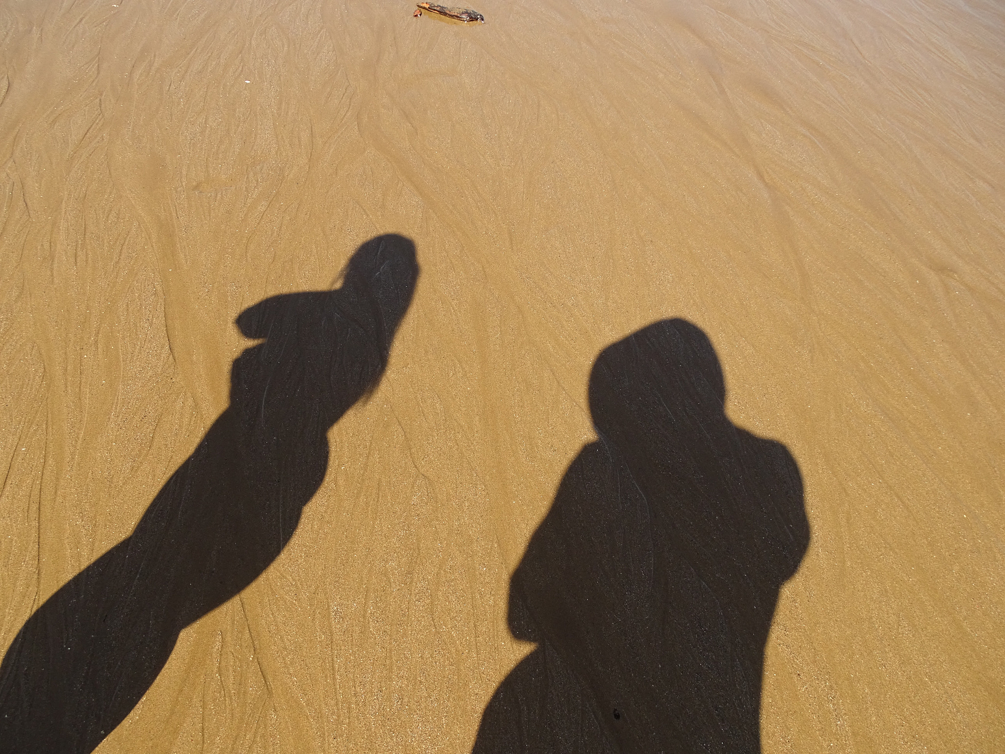Sony Cyber-shot DSC-HX350 sample photo. Shadows in the sand photography