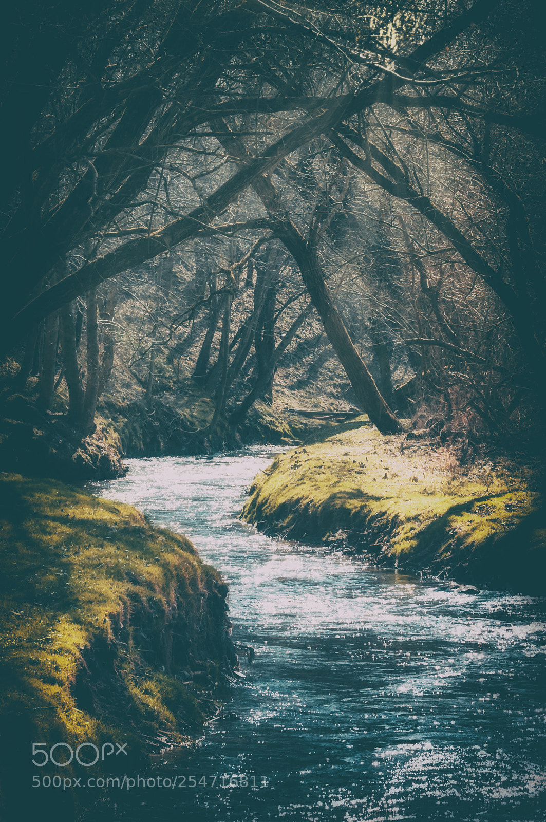 Nikon D300S sample photo. On the river bank photography