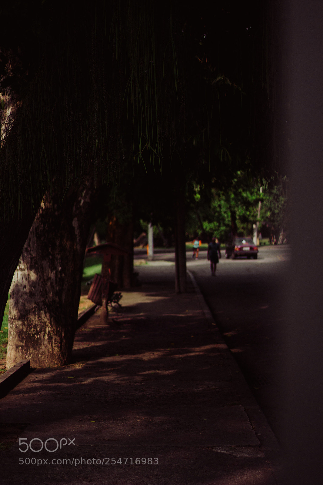 Canon EOS 1200D (EOS Rebel T5 / EOS Kiss X70 / EOS Hi) sample photo. Life, is so eventful photography