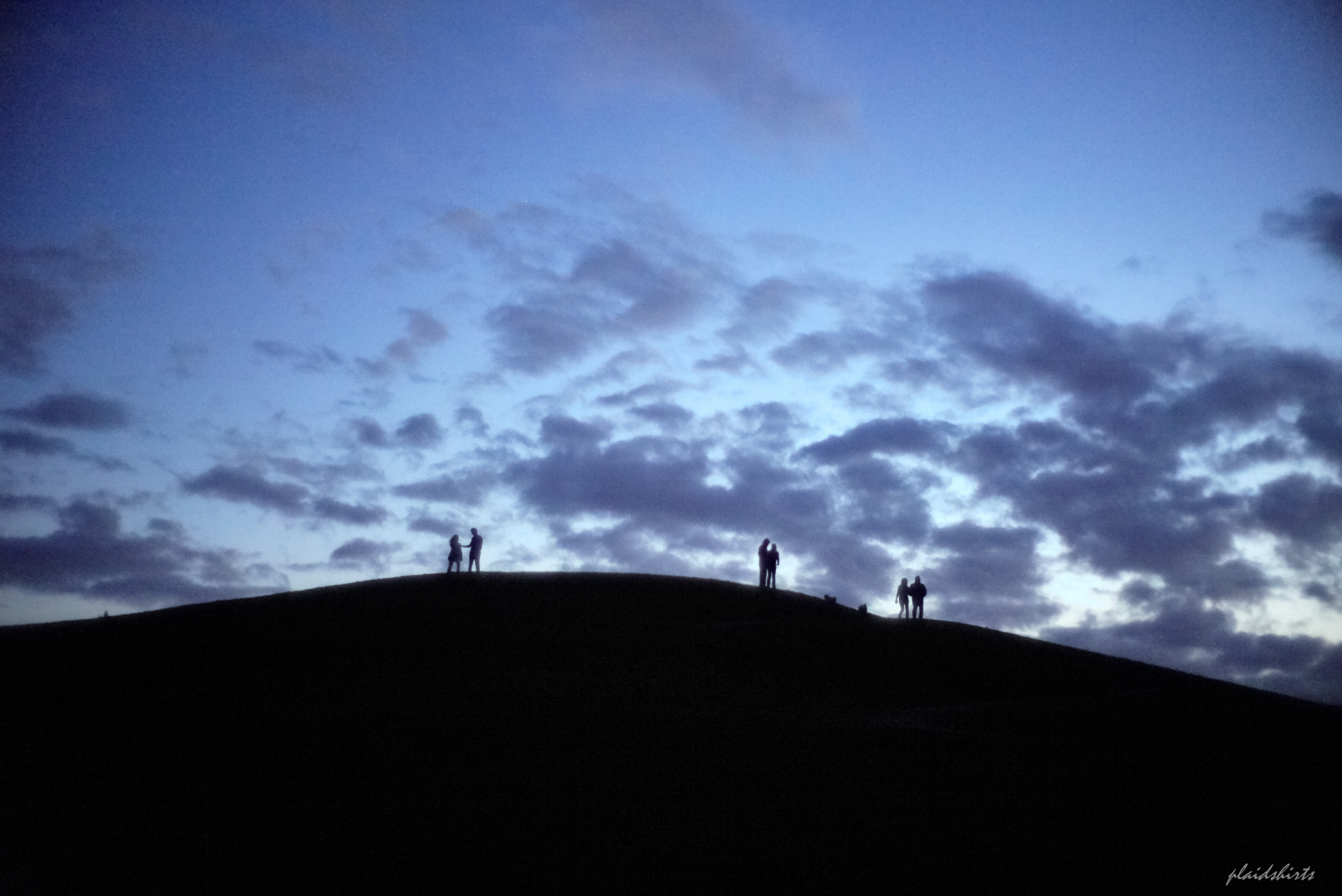 Leica M-D (TYP 262) sample photo. 3 couples (+ 2 dogs) photography