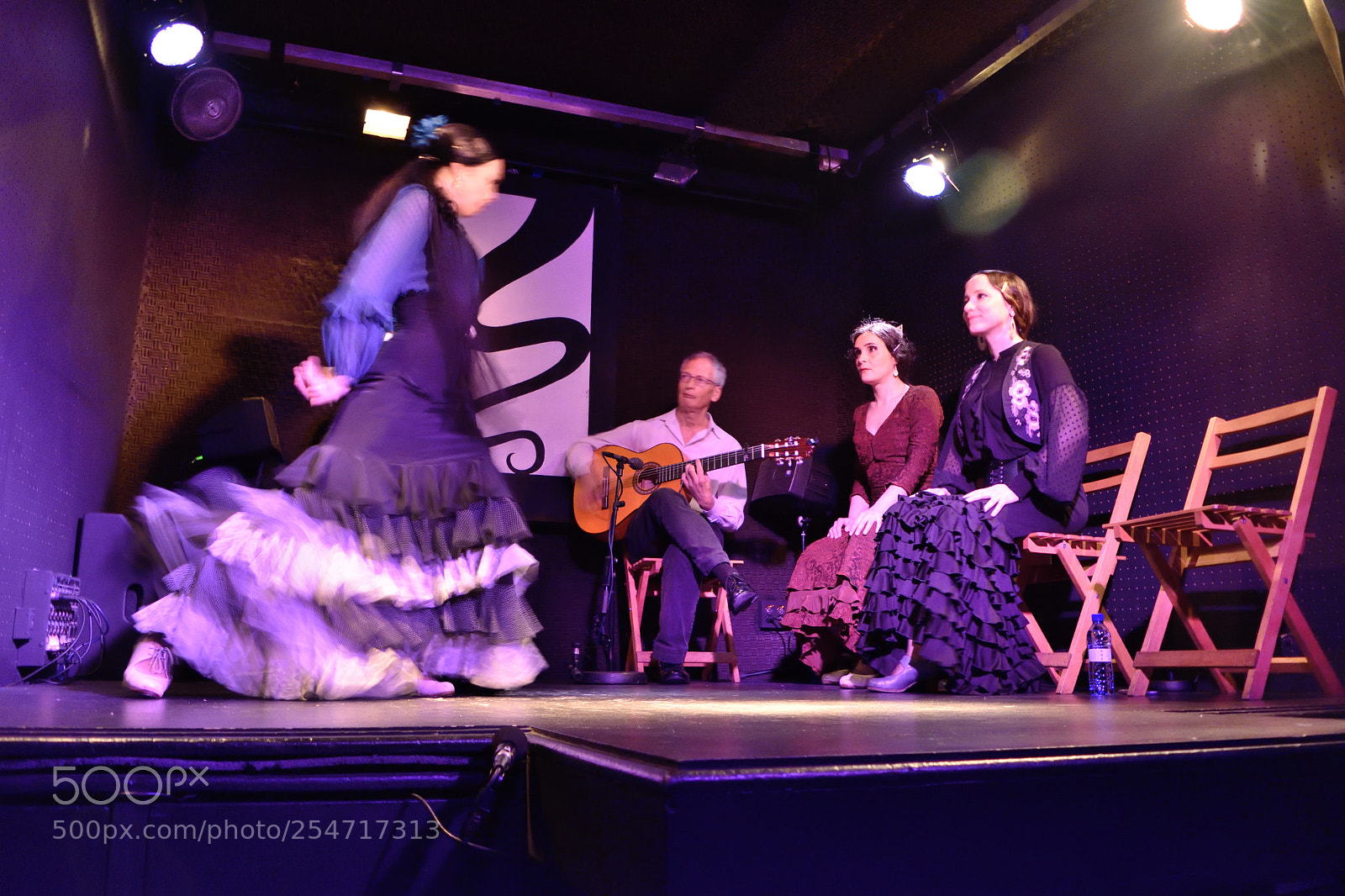 Nikon D5500 sample photo. Flamenco el juglar photography