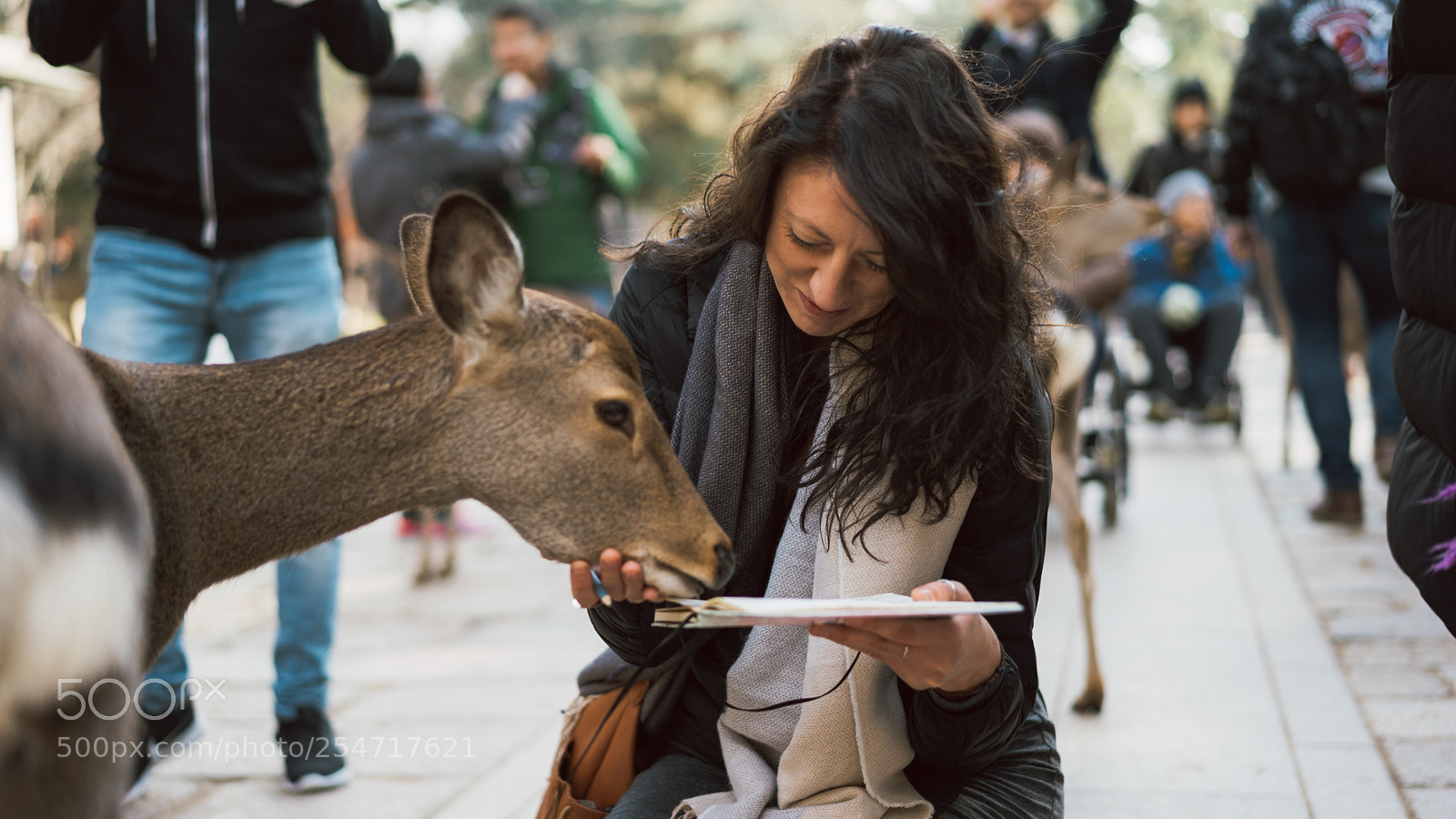 Sony a7S II sample photo. Sacred deers of nara photography