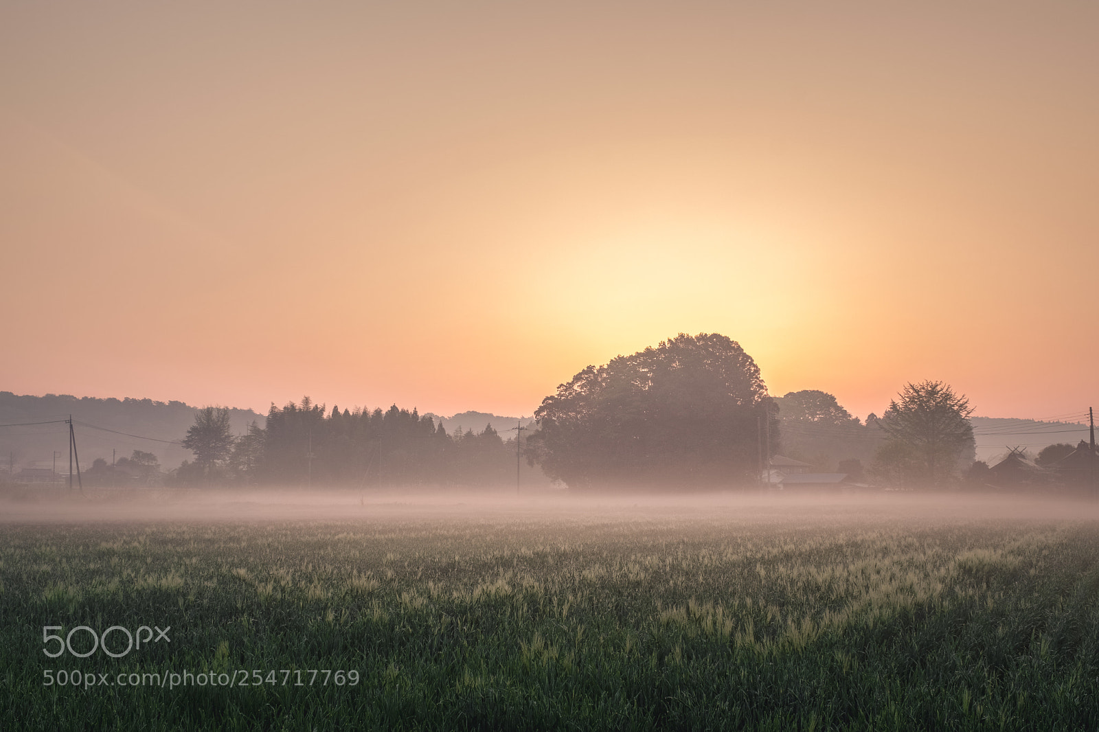 Fujifilm X-T2 sample photo. Morning haze photography