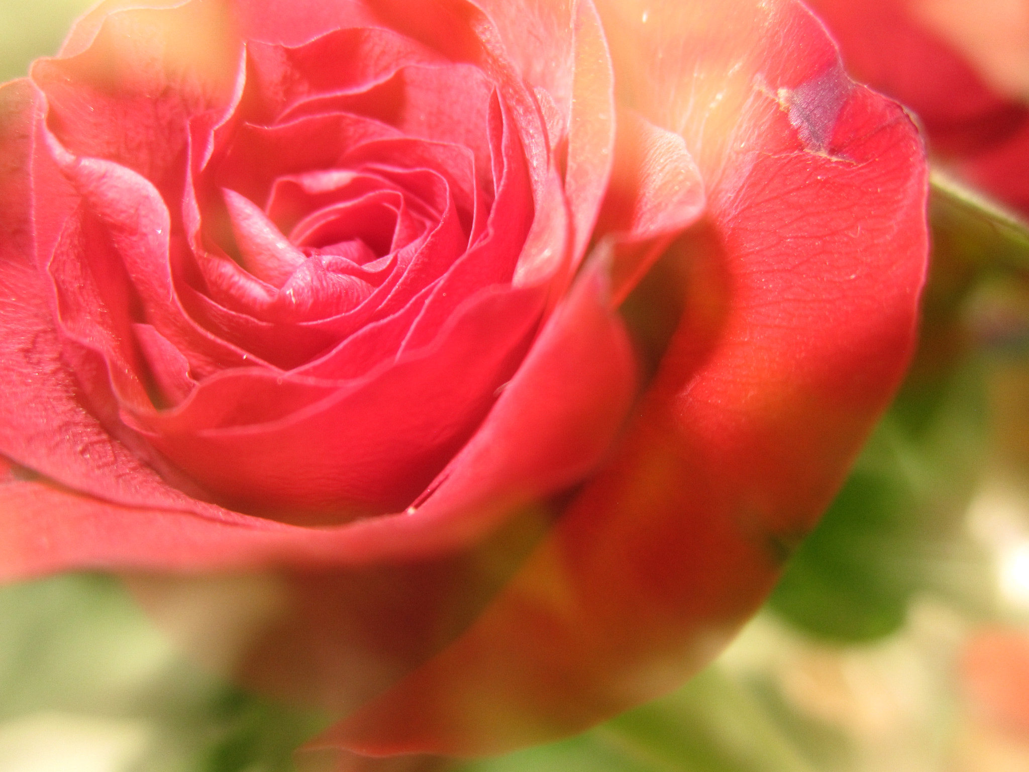Canon PowerShot A2200 sample photo. Ros2.2 photography