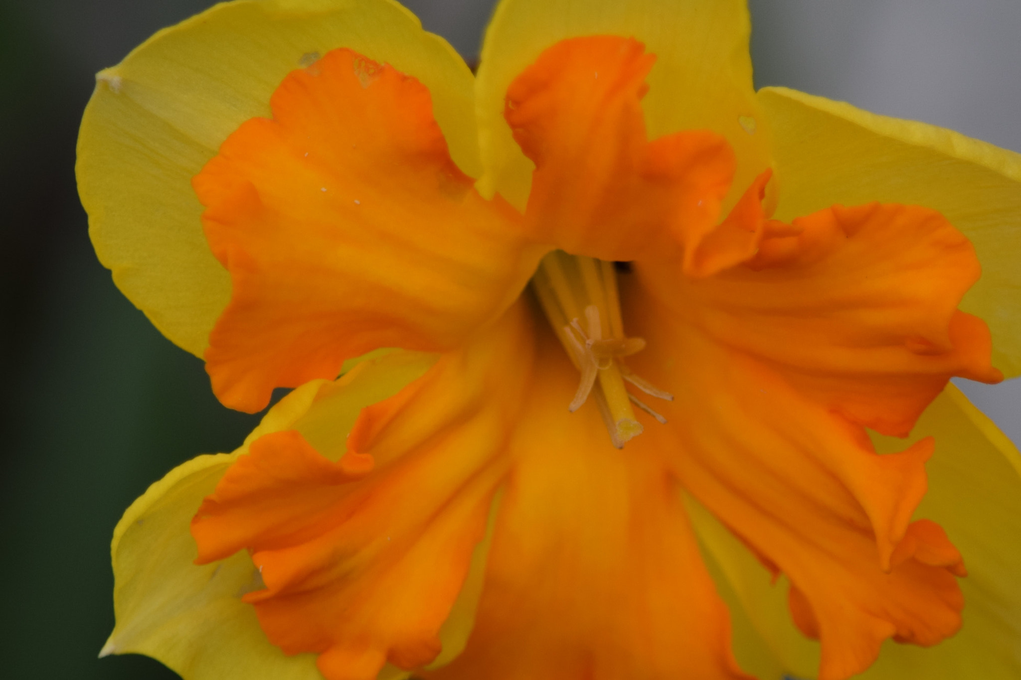Nikon D5300 sample photo. () photography