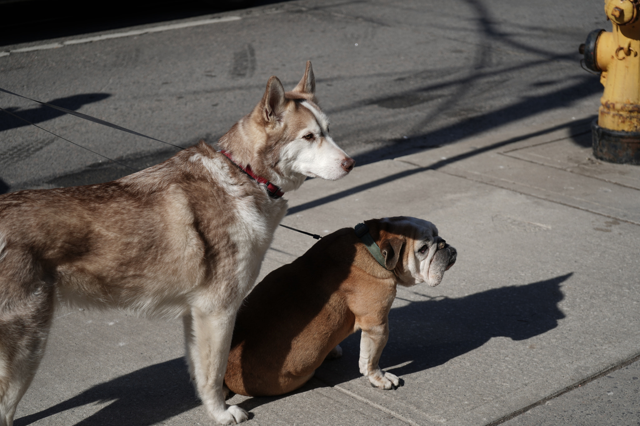 Sony FE 28-70mm F3.5-5.6 OSS sample photo. What are they doing? photography