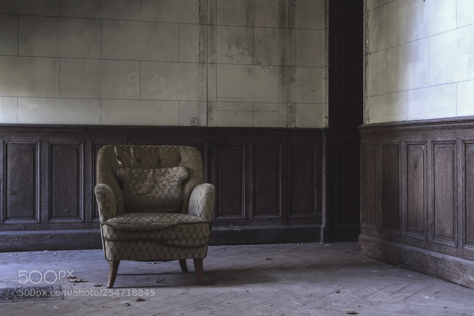 Nikon D5300 sample photo. Untitled photography