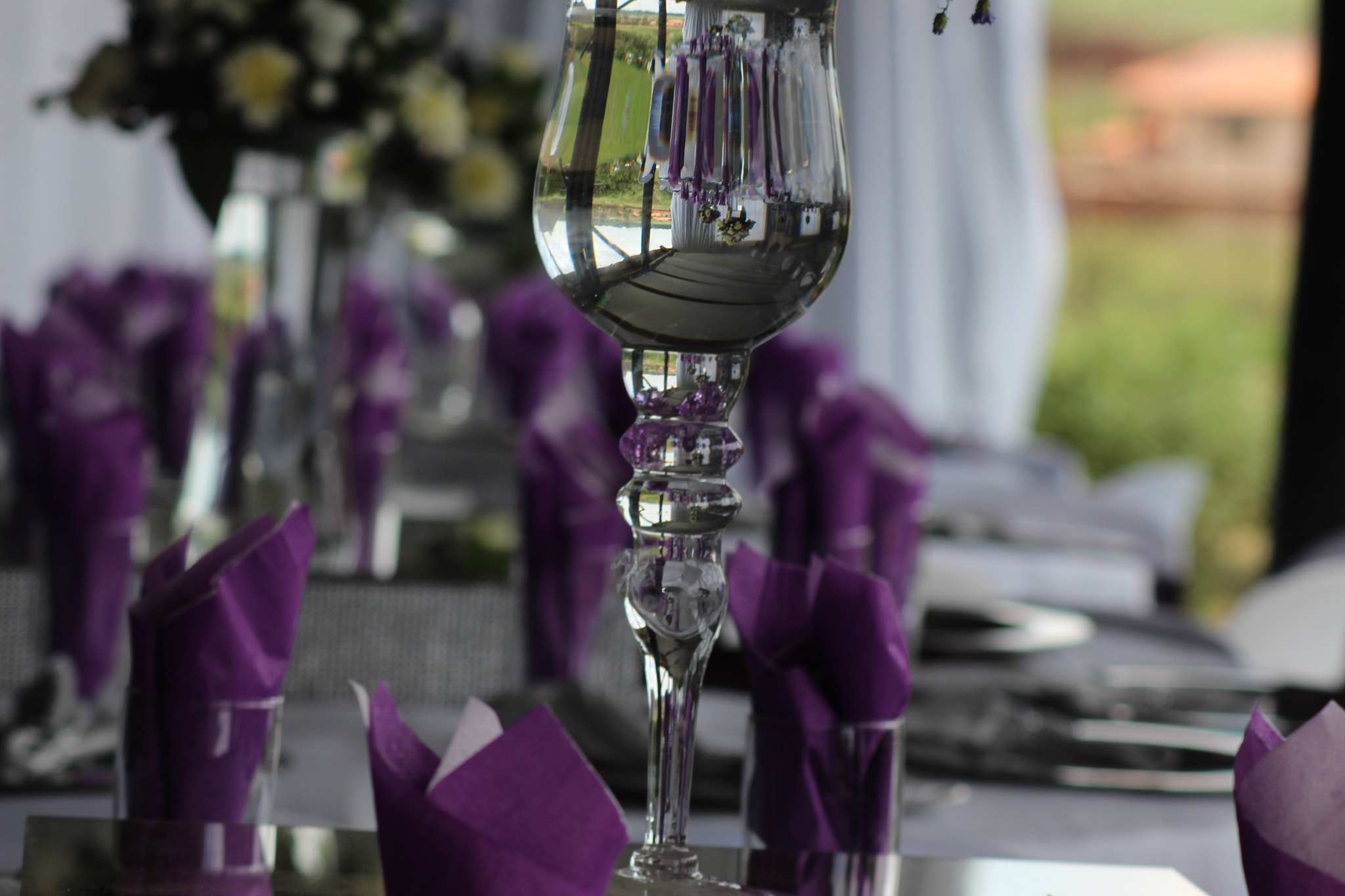 Canon EOS 650D (EOS Rebel T4i / EOS Kiss X6i) sample photo. Plum deco photography