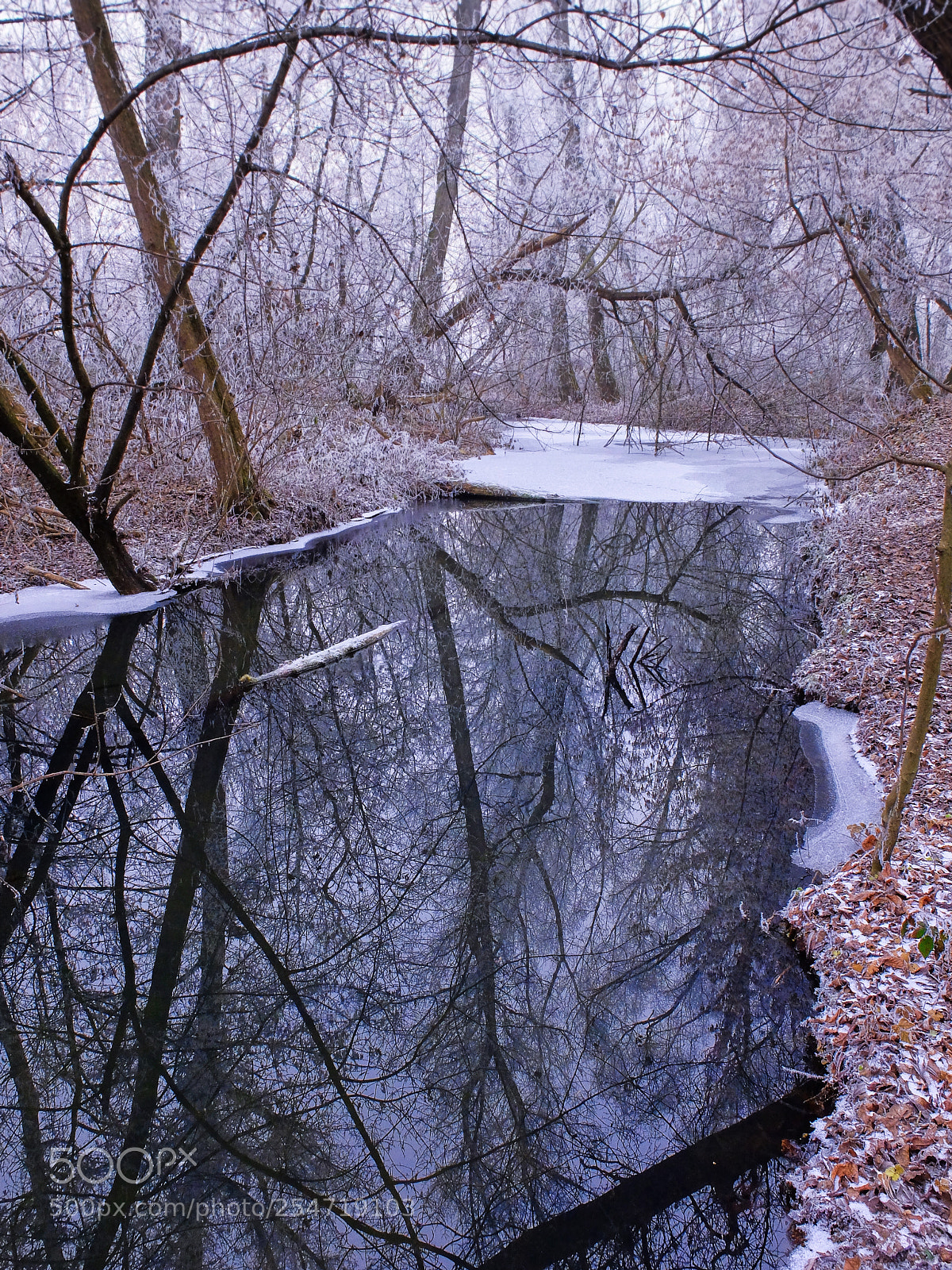 Fujifilm X30 sample photo. Beauty of reflection photography