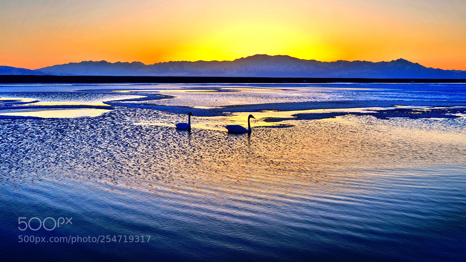 Nikon D4 sample photo. 赛里木天鹅湖 photography