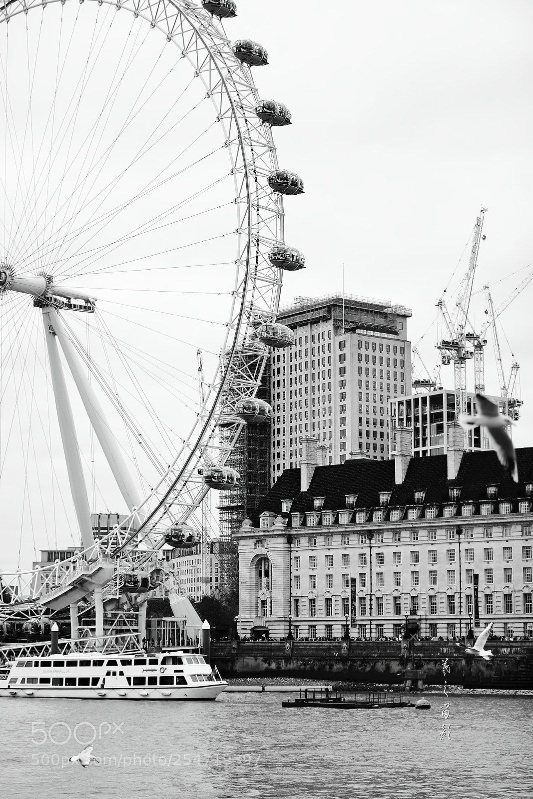 Canon EOS-1D X Mark II sample photo. London eye photography