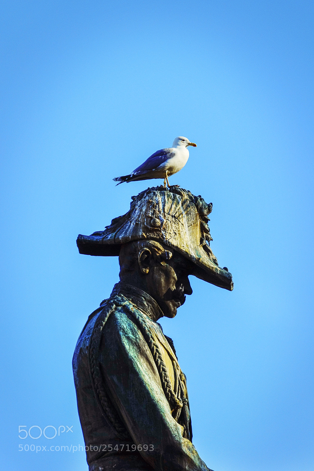 Sony Cyber-shot DSC-RX10 III sample photo. General and seagull photography