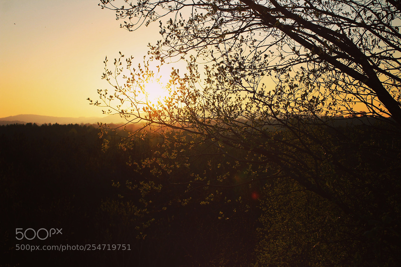 Canon EOS 1300D (EOS Rebel T6 / EOS Kiss X80) sample photo. Sunset marford photography