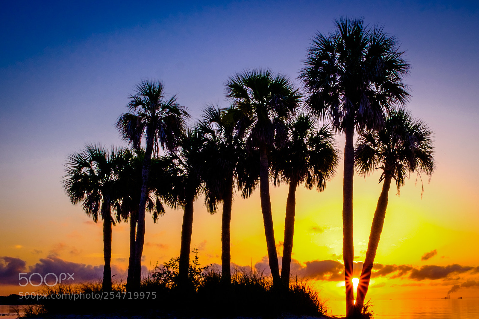 Fujifilm X-T1 sample photo. Morning on the waterfront-st.pete,fl photography