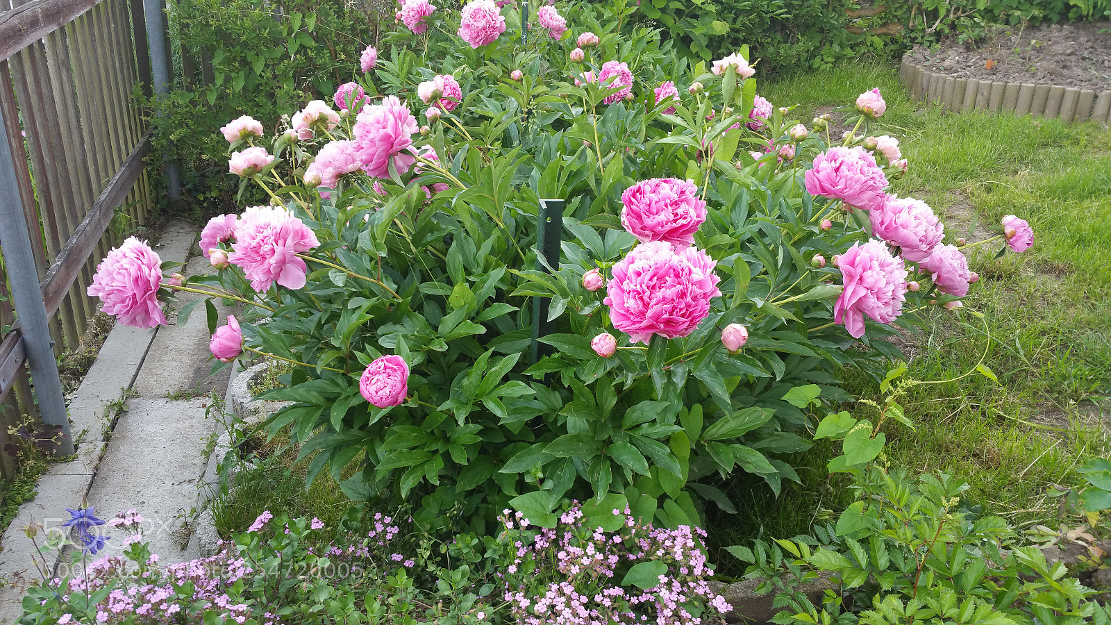 Samsung Galaxy Note4 sample photo. 20160611_182503.jpg photography