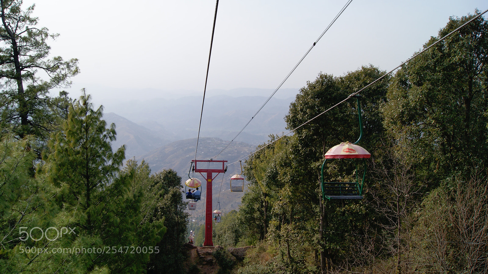 Sony Alpha DSLR-A230 sample photo. Untitled photography