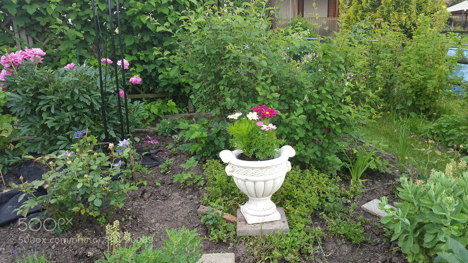 Samsung Galaxy Note4 sample photo. 20160611_182426.jpg photography