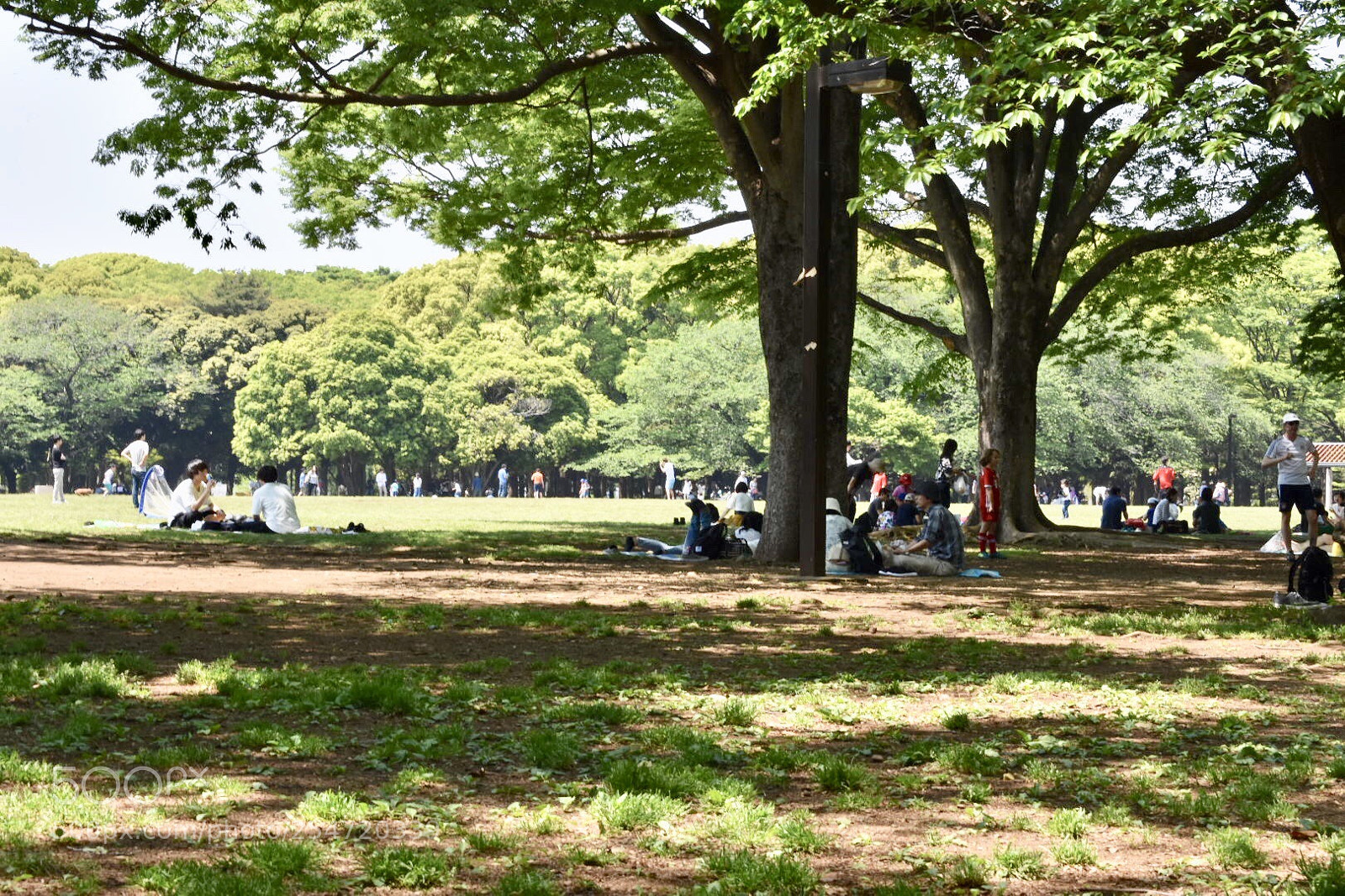 Nikon D3400 sample photo. Picnic photography