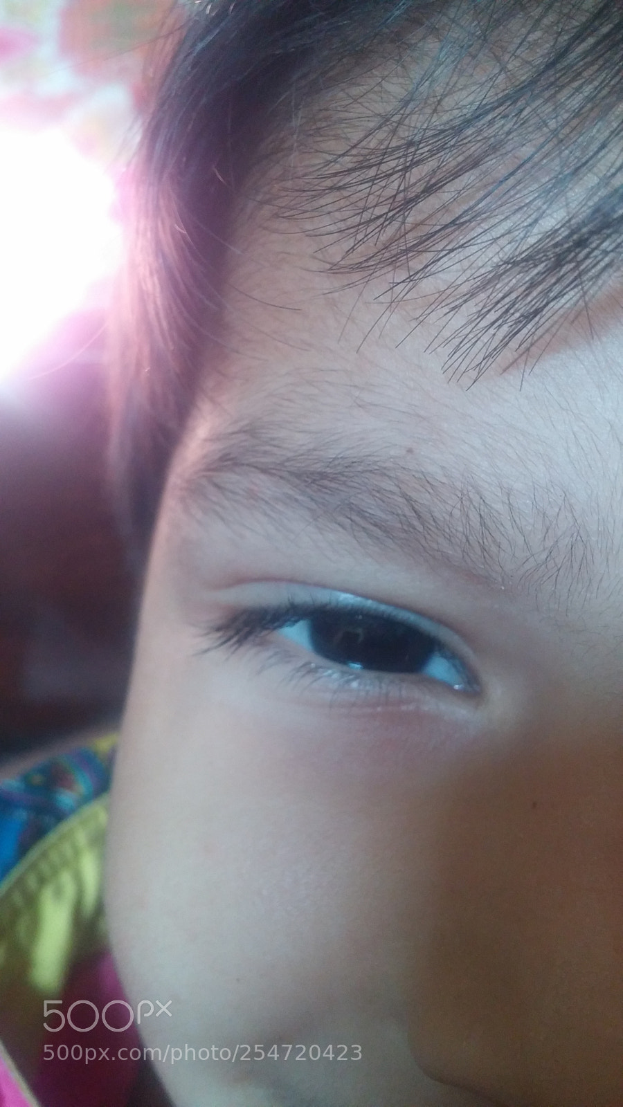 LG G3 sample photo. Untitled photography