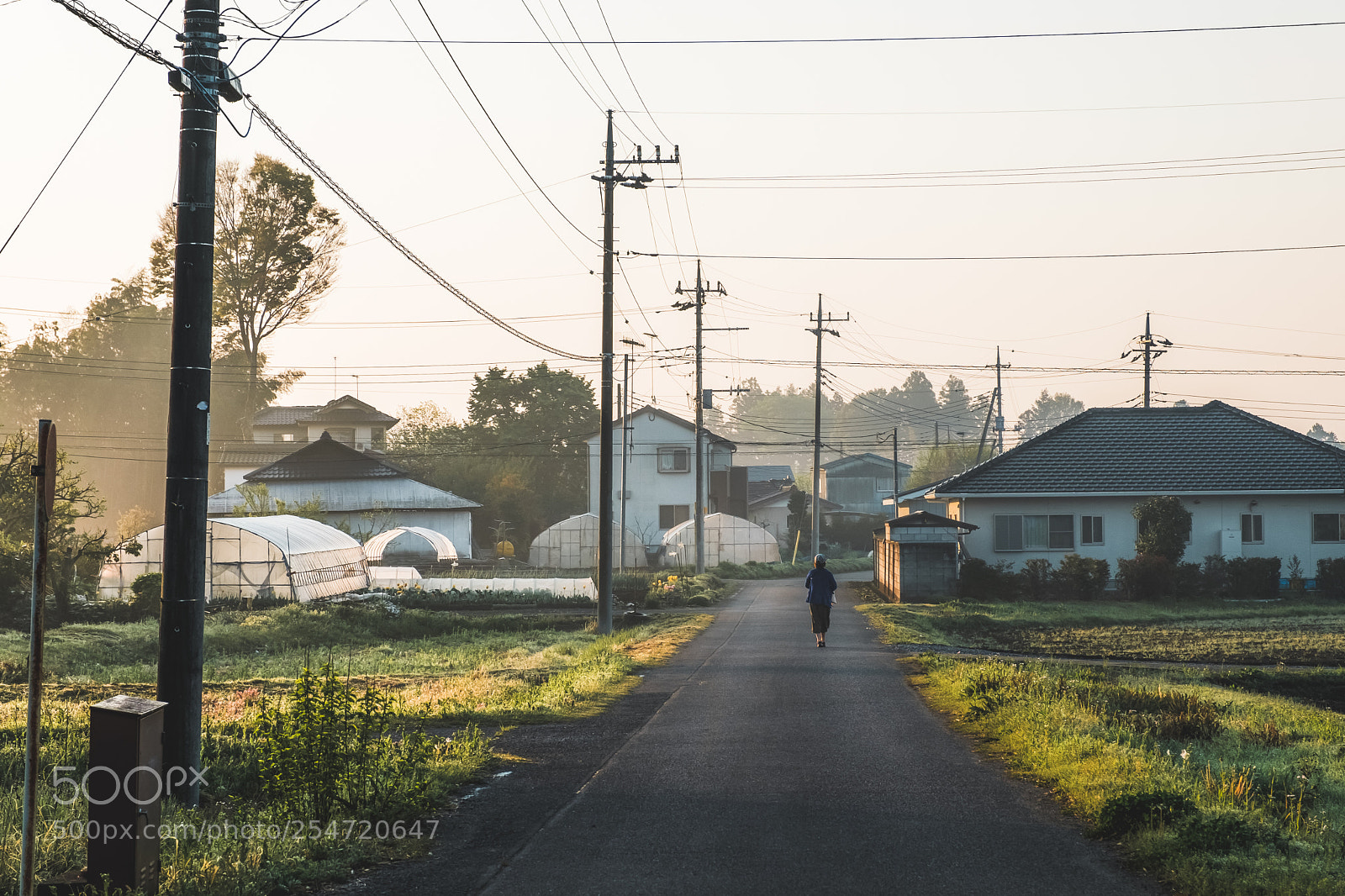 Fujifilm X-T2 sample photo. Good morning beautiful photography