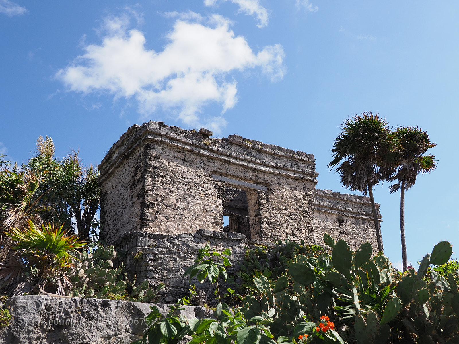 Olympus OM-D E-M1 Mark II sample photo. Ancient ruins of stony photography